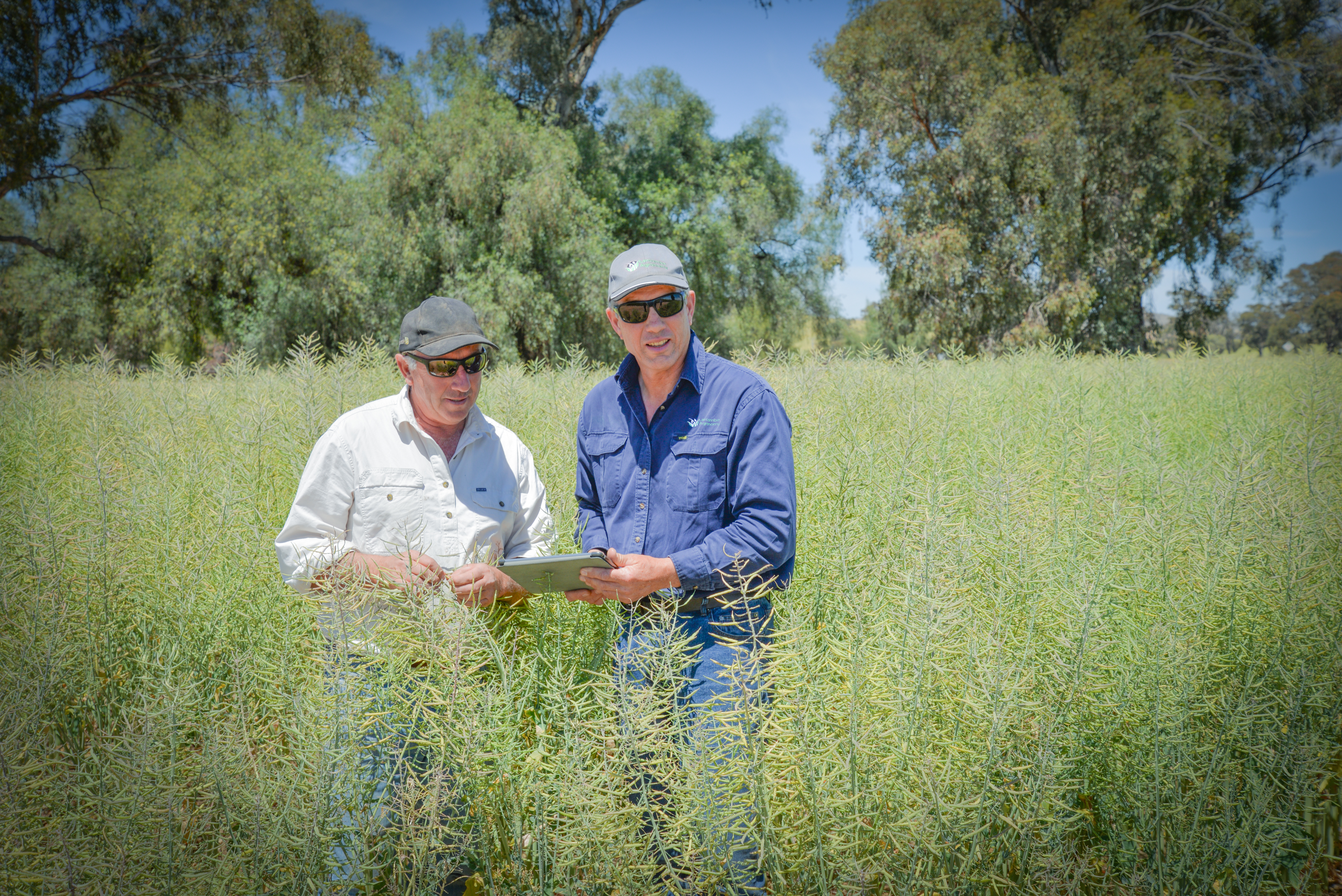 From planning to performance, improving an agronomist's workflow