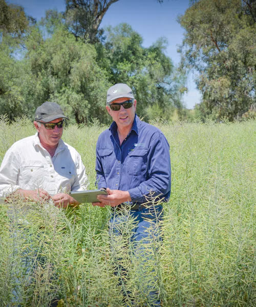 From planning to performance, improving an agronomist's workflow