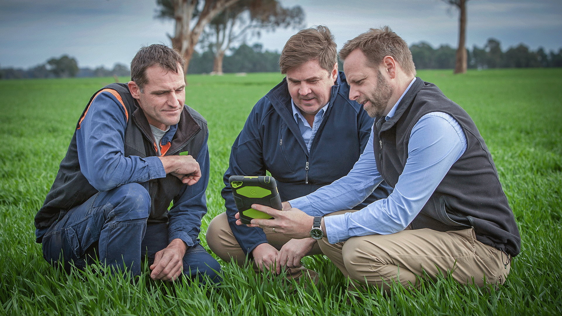 The value of collaboration in Agriculture