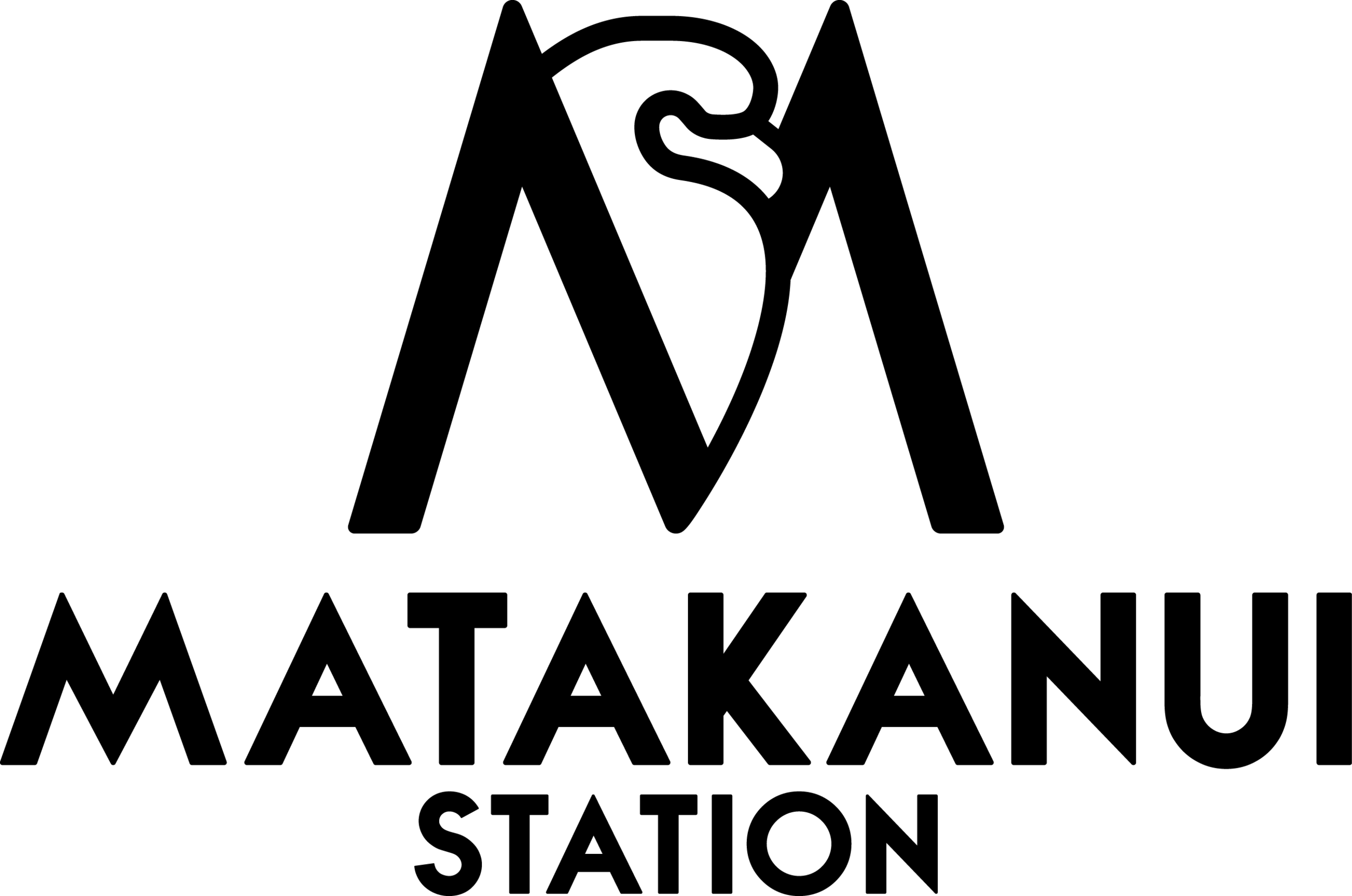Matakanui Station logo