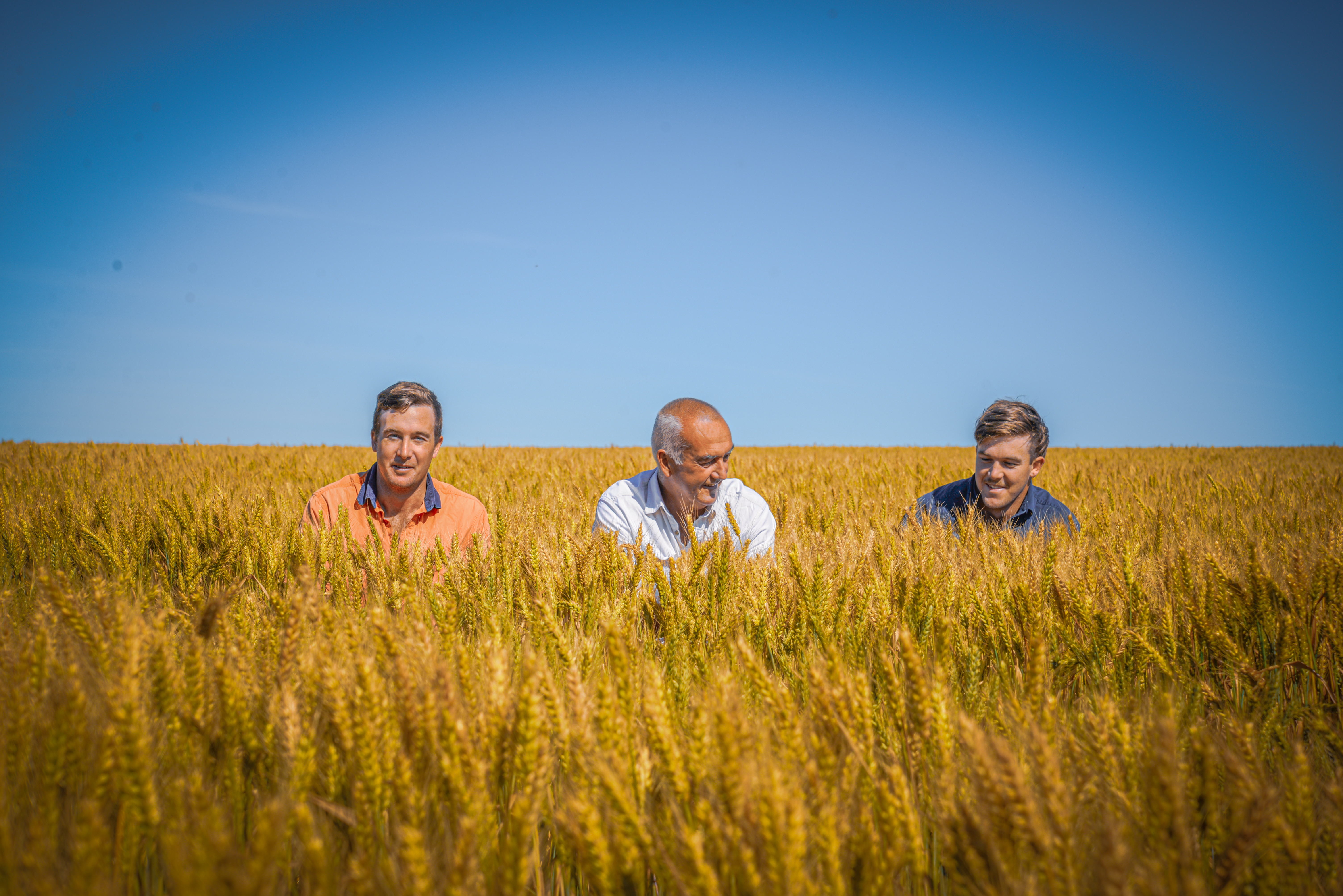 Digitising farm management