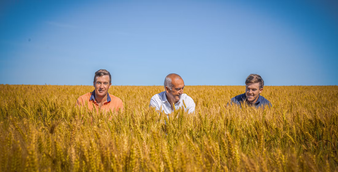 Digitising farm management