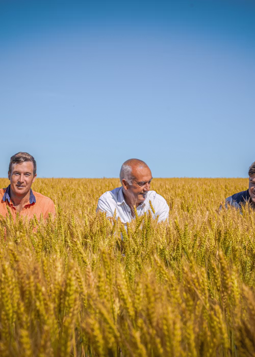 Digitising farm management