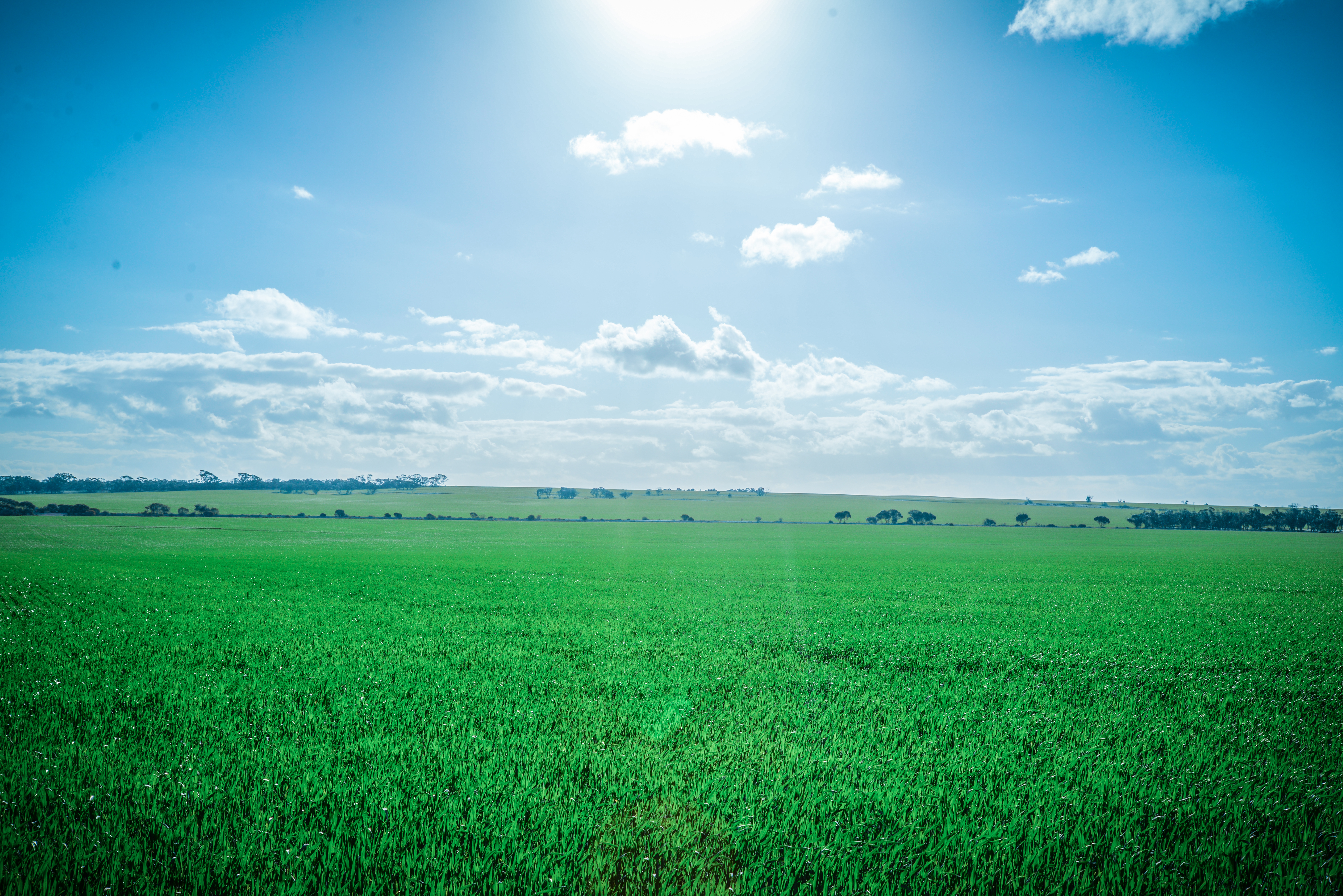 Agworld