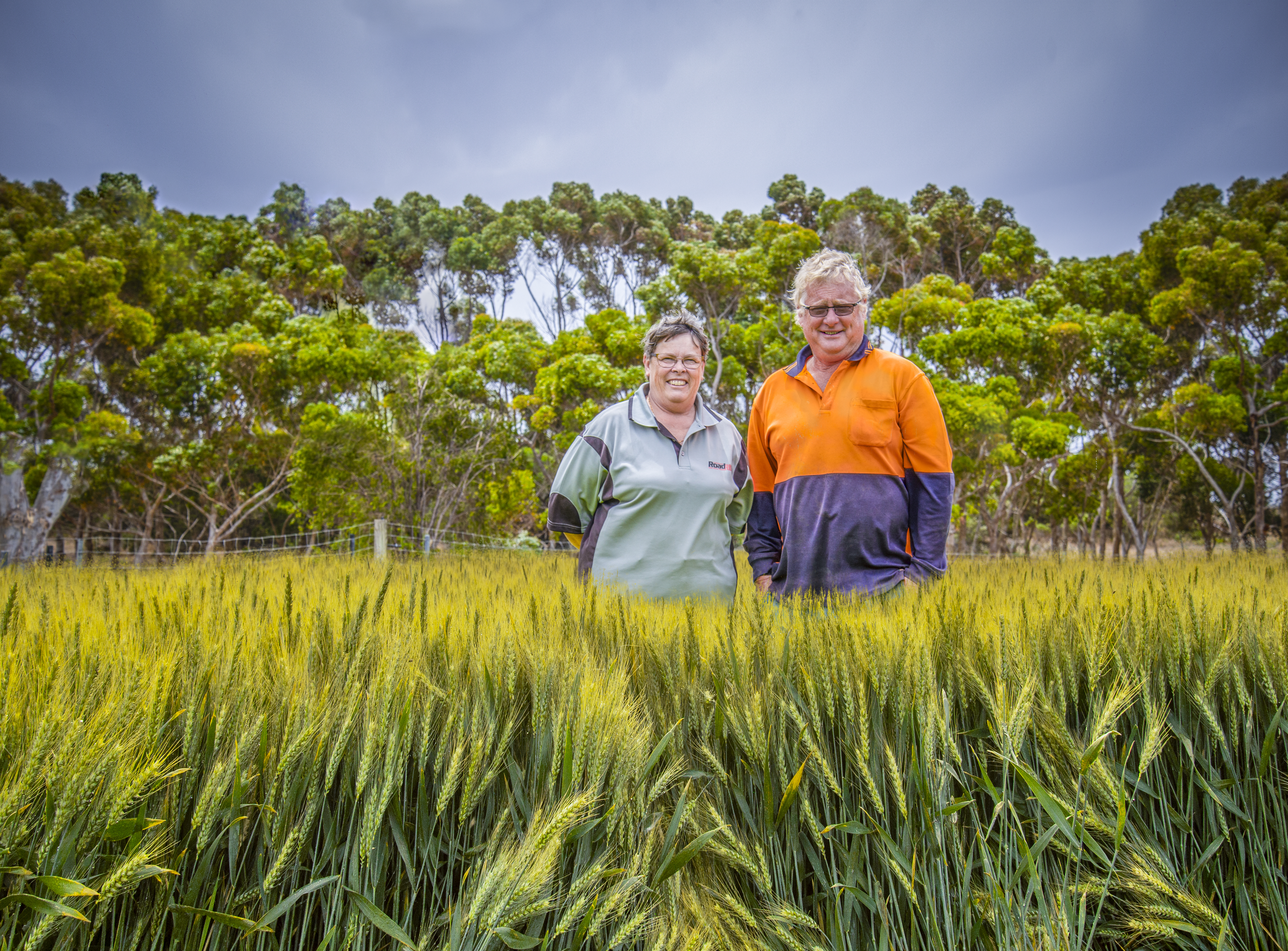 Digitising crop management information
