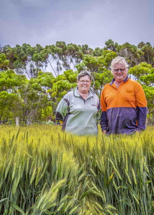 Digitising crop management information
