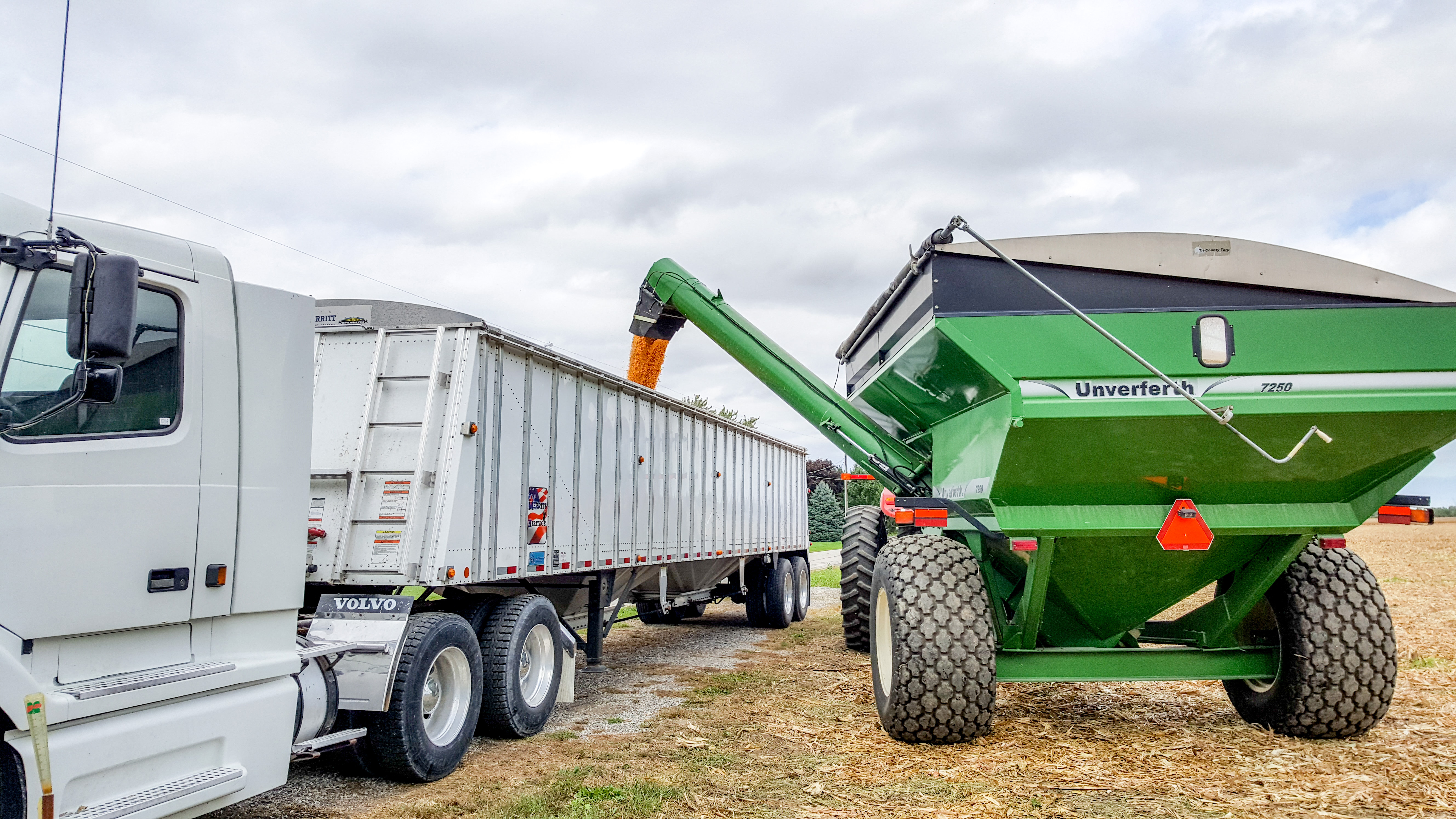 Fertilizing for Success
