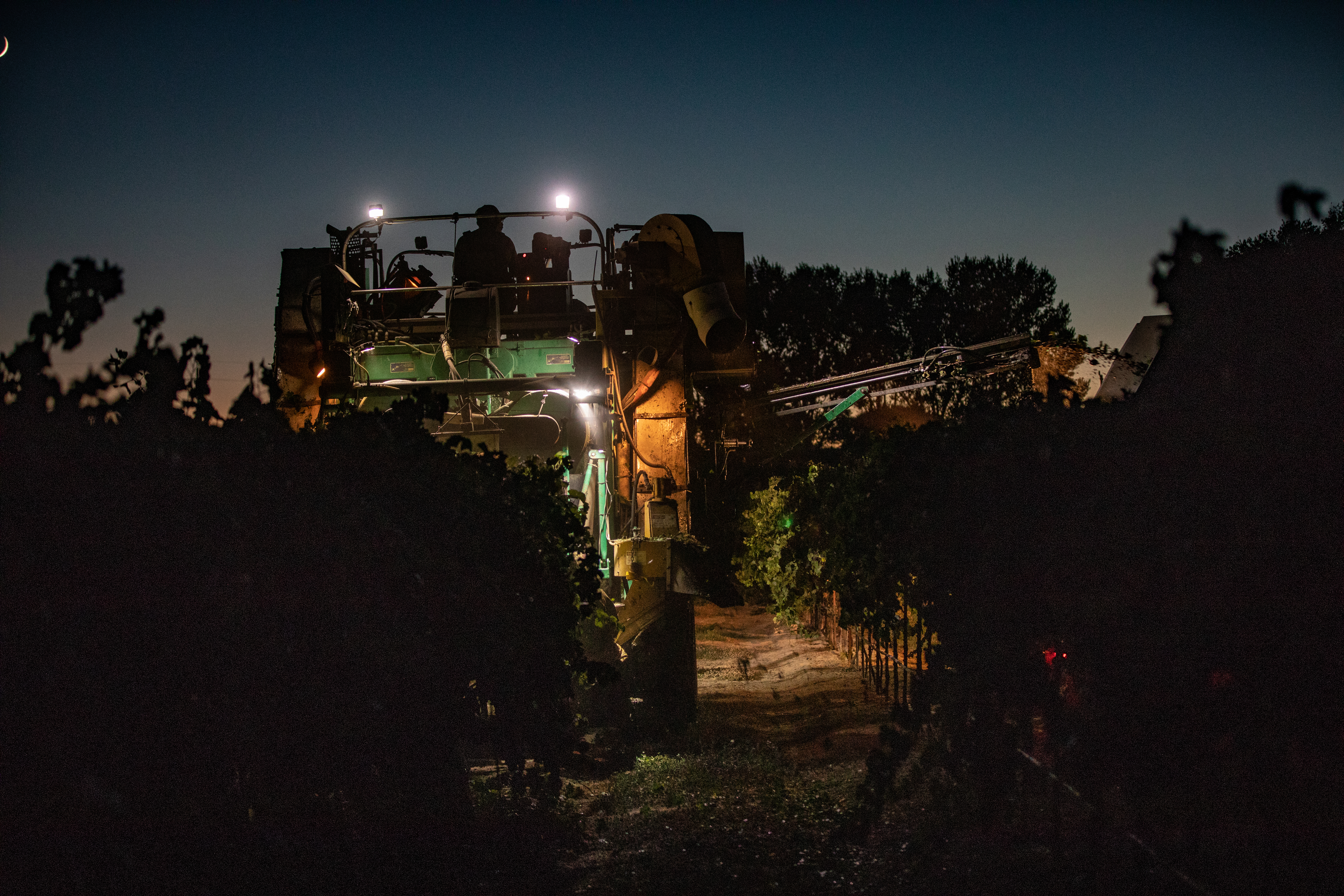 Agworld features in Thrive Top 50 again