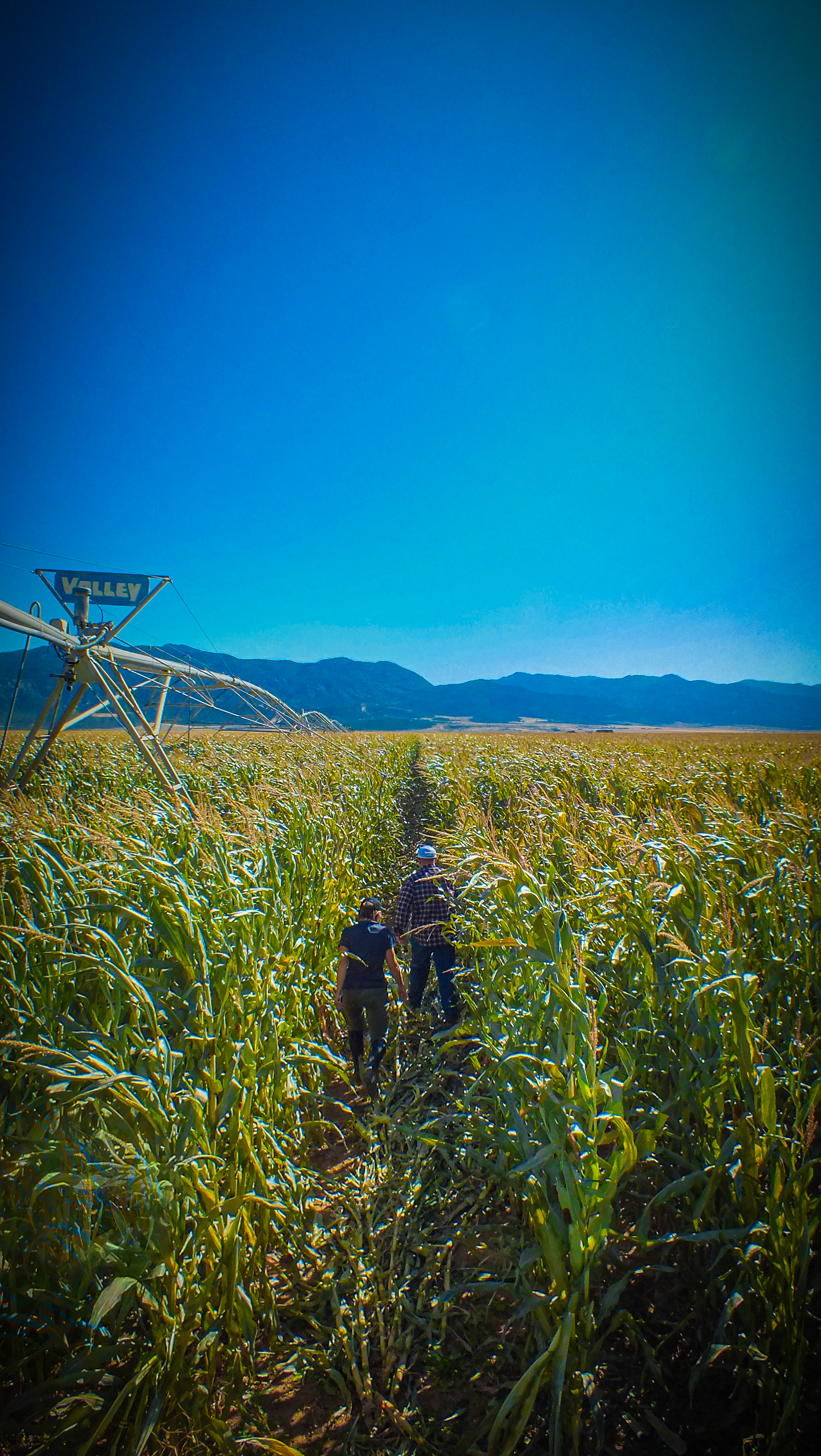 Agworld