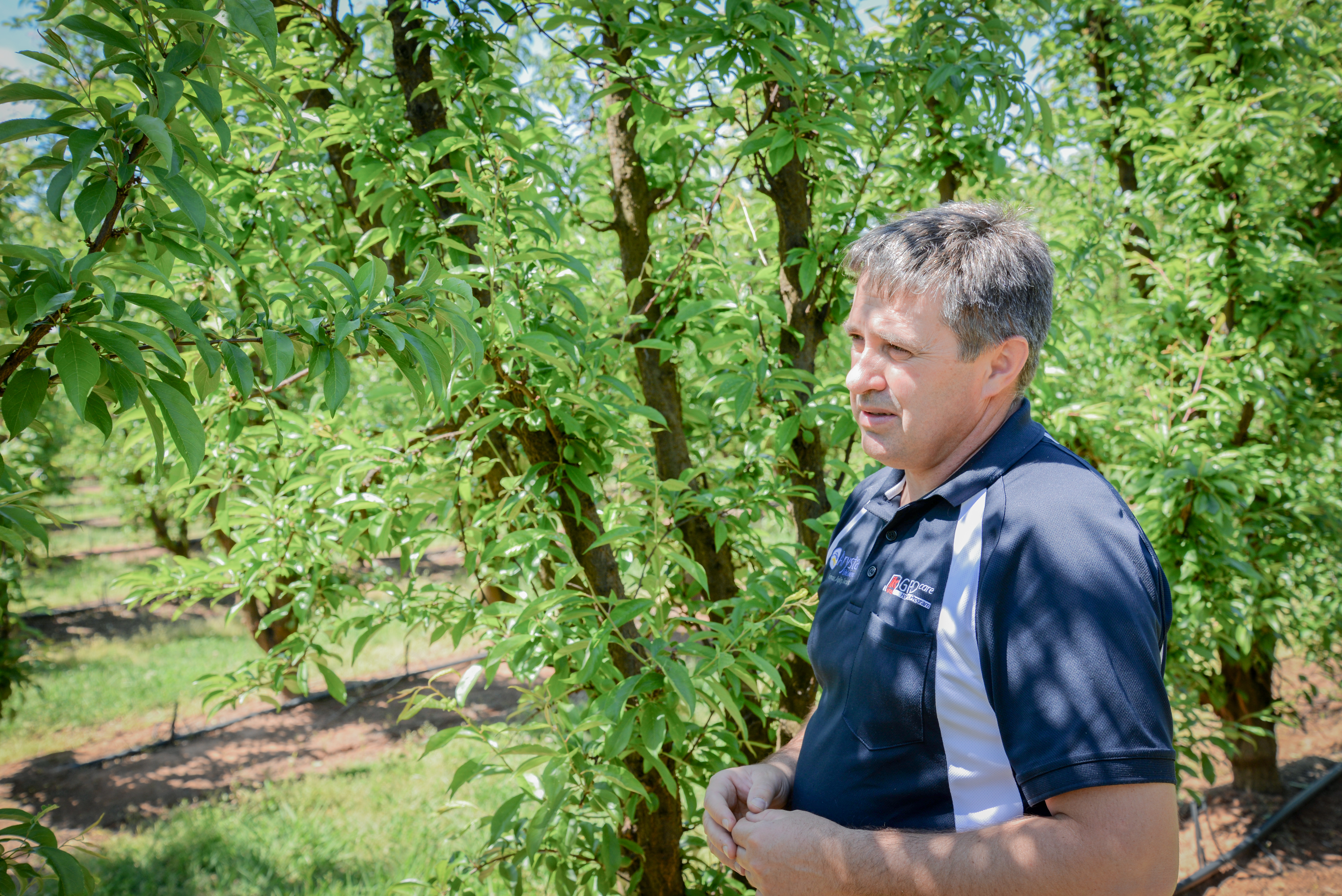 Improving an agronomist's efficiency and transparency