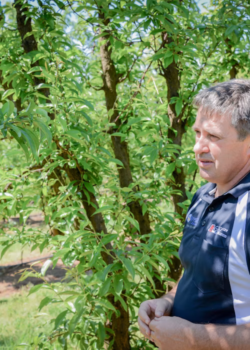 Improving an agronomist's efficiency and transparency