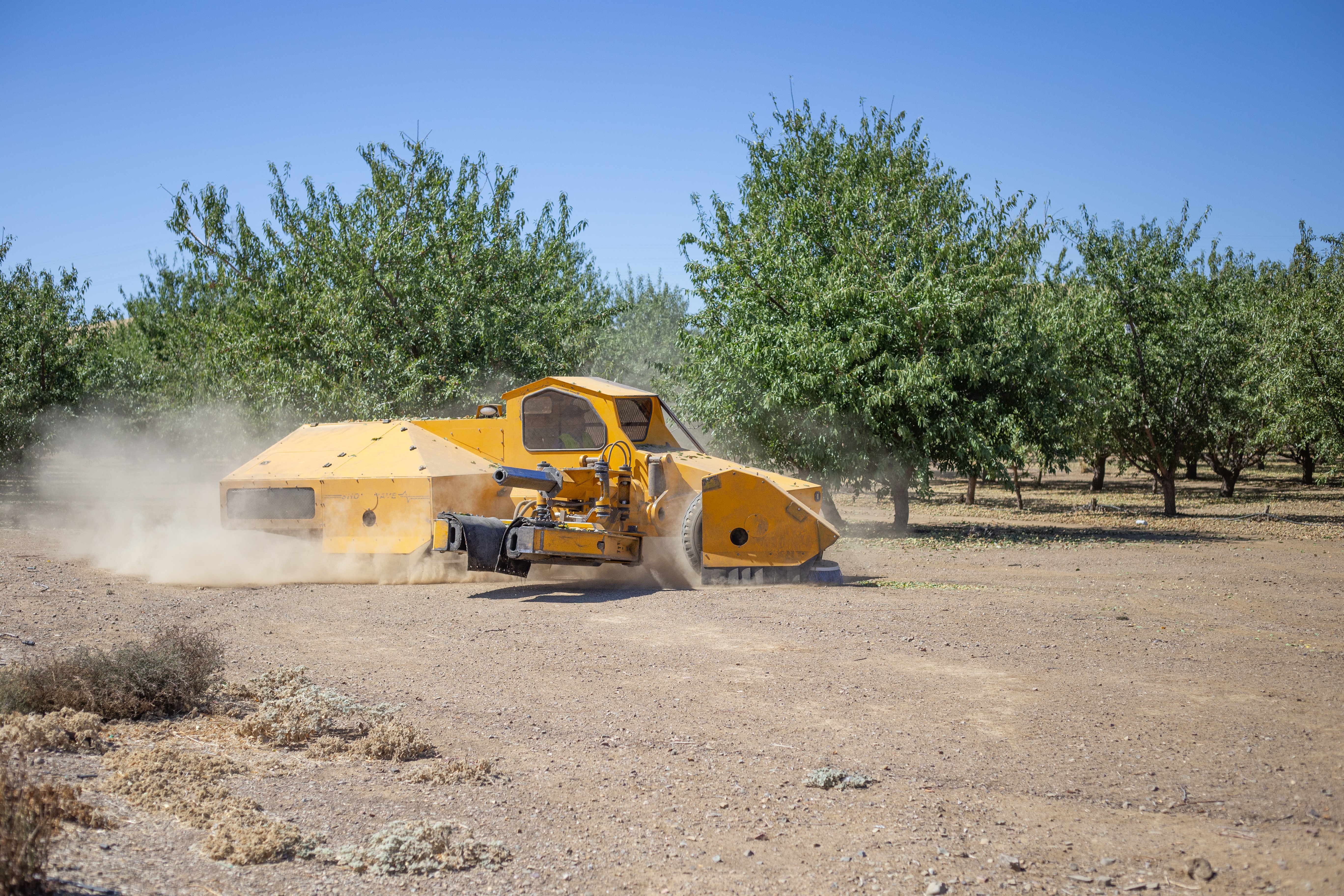 Almond harvesting equipment in the field