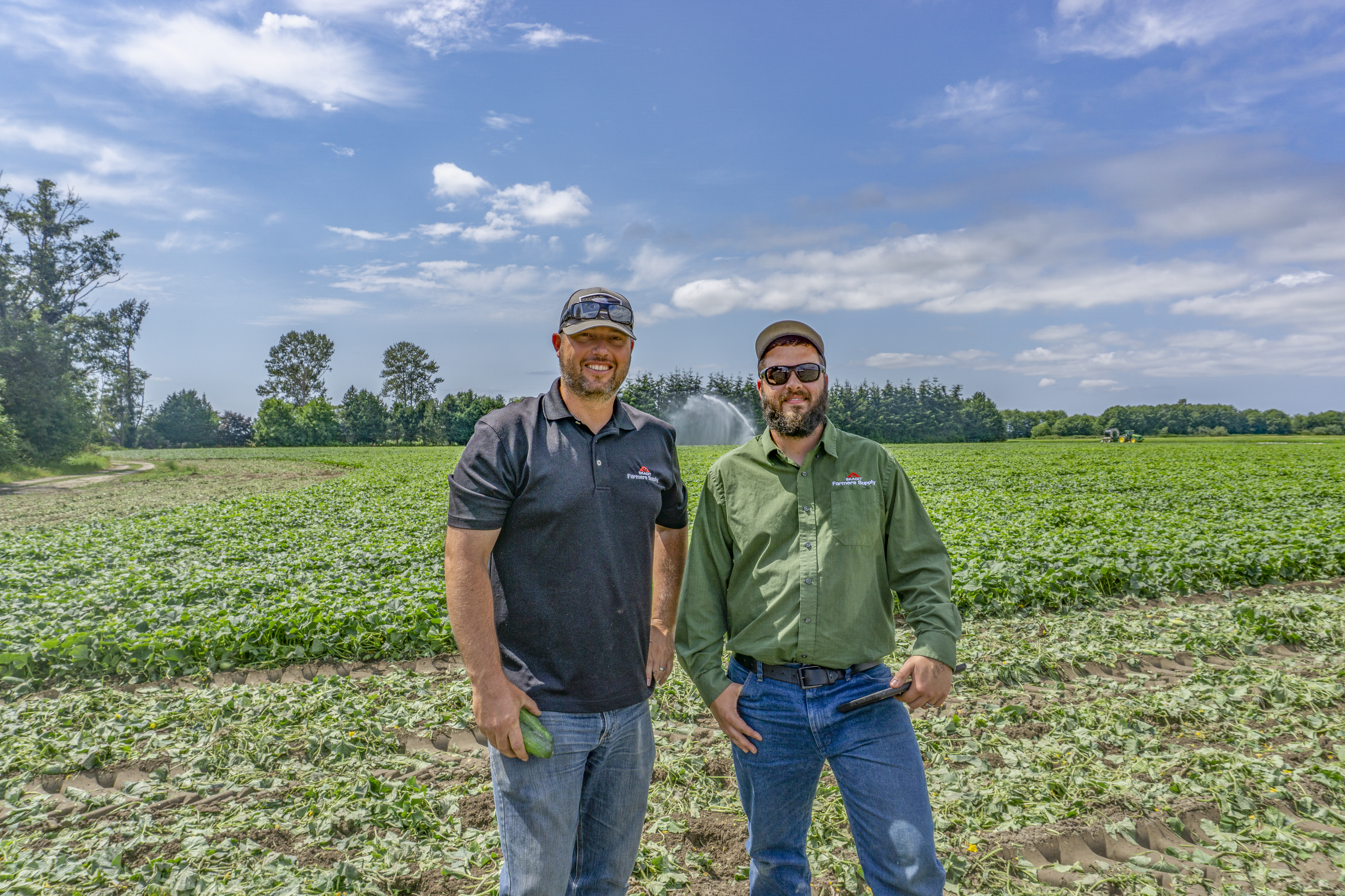Simplifying organic certification audits