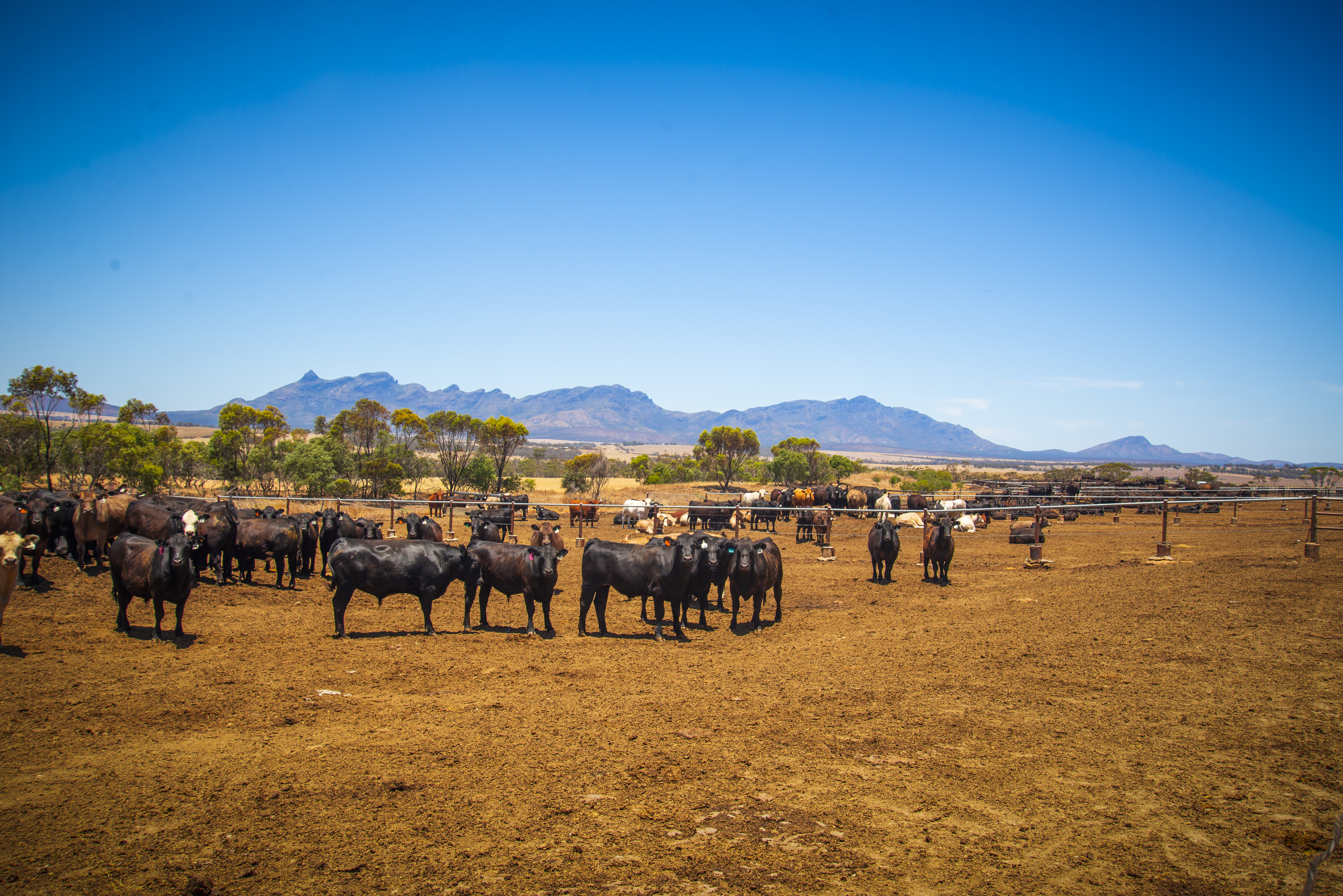 Agworld