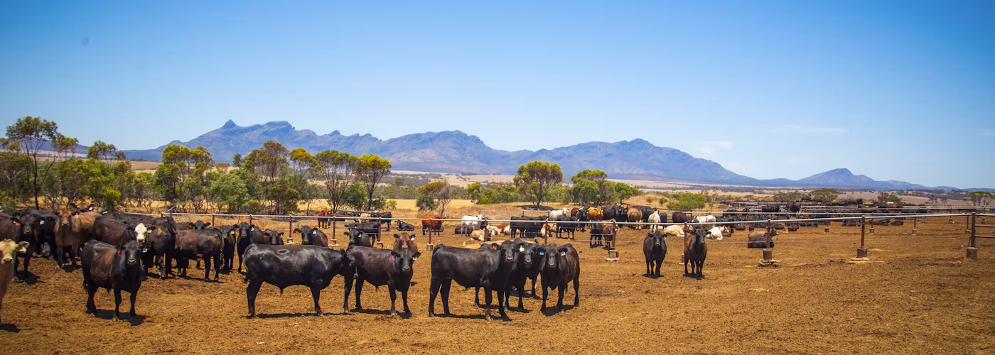 Agworld