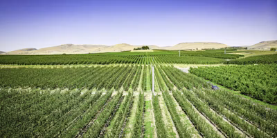 Understanding Evapotranspiration (ET)