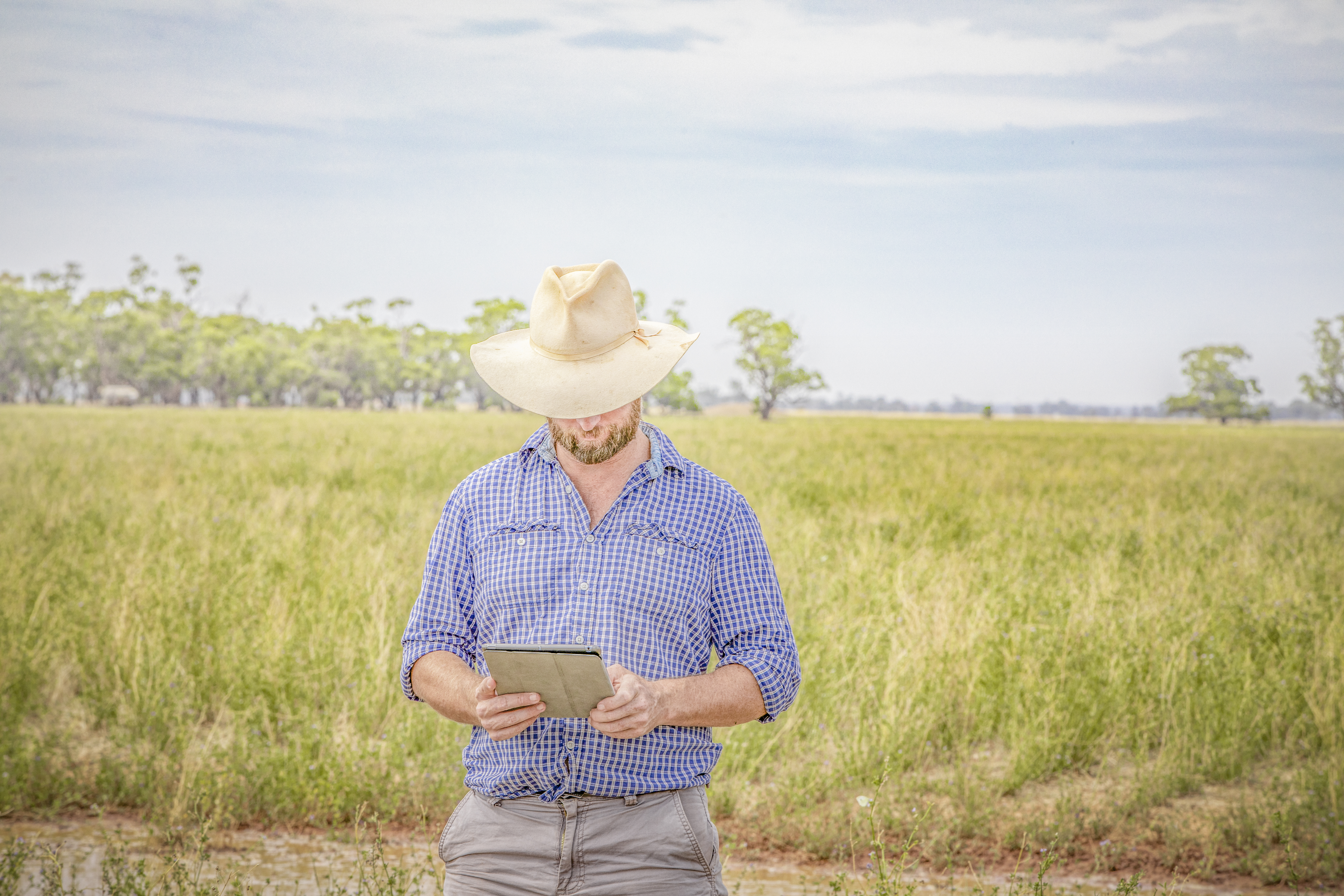 Using field records to earn carbon credits
