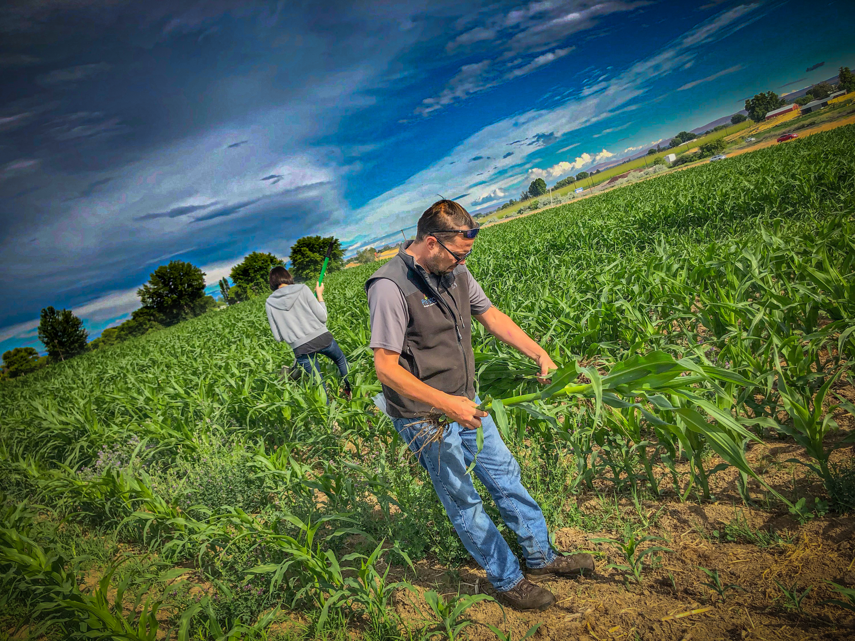 Managing nutrient compliance
