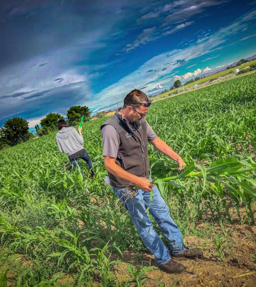 Managing nutrient compliance