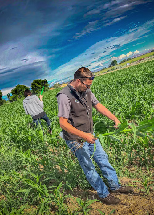 Managing nutrient compliance