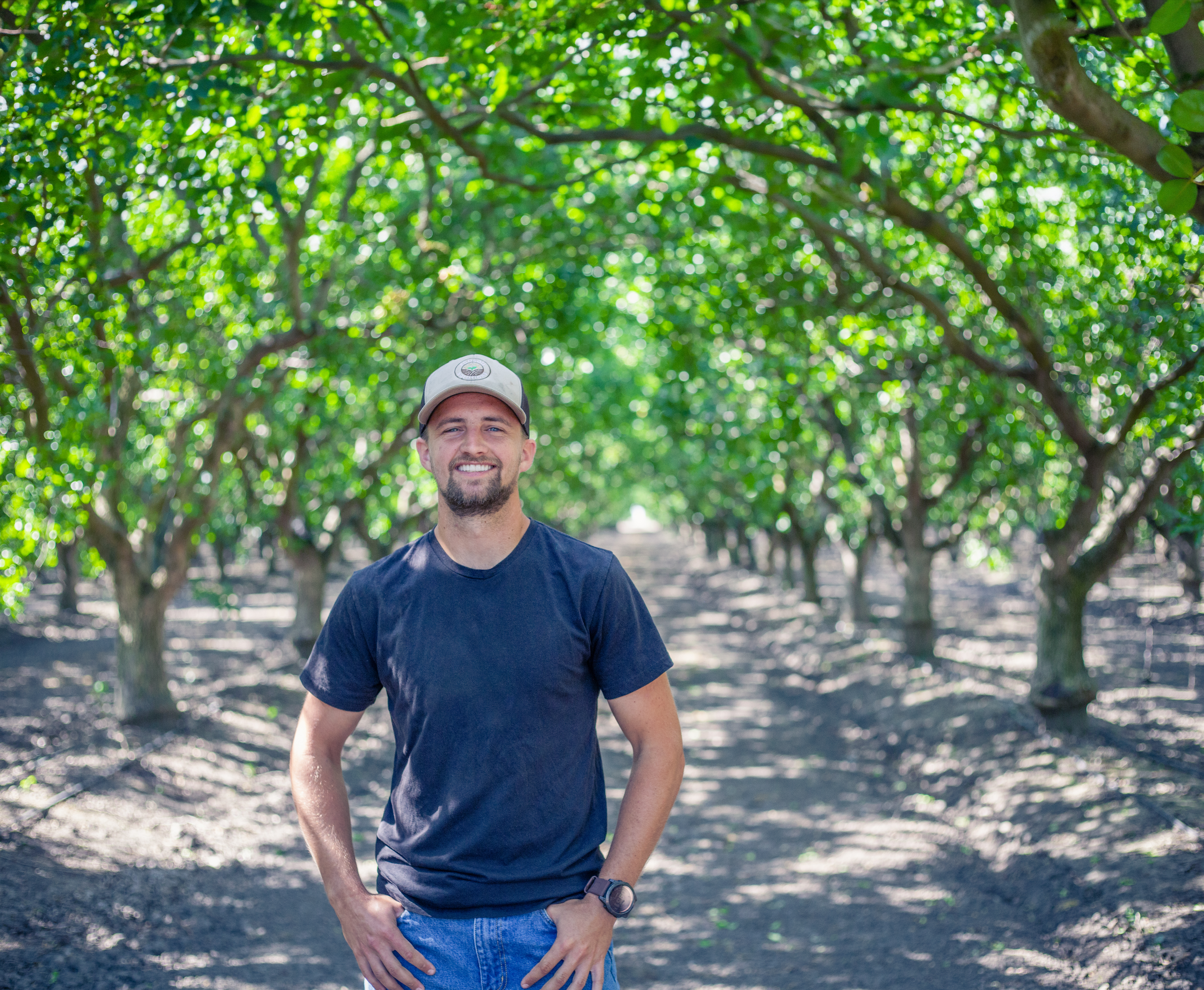 How color-coded insights drive daily orchard decisions