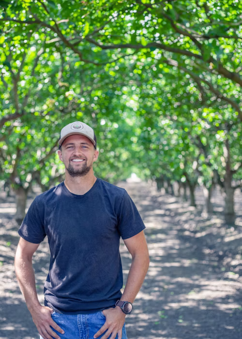 How color-coded insights drive daily orchard decisions