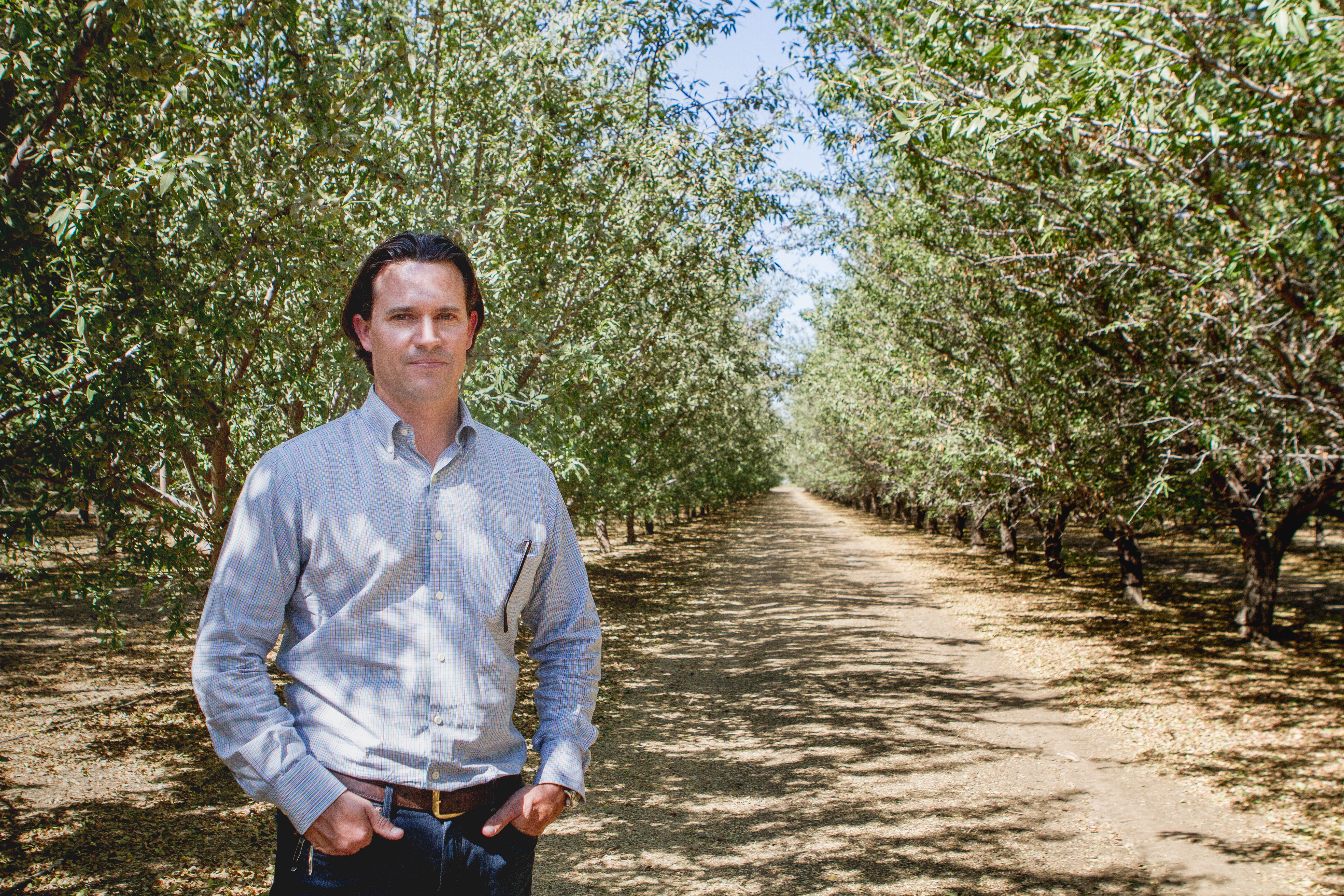 Managing workflow and information in orchards