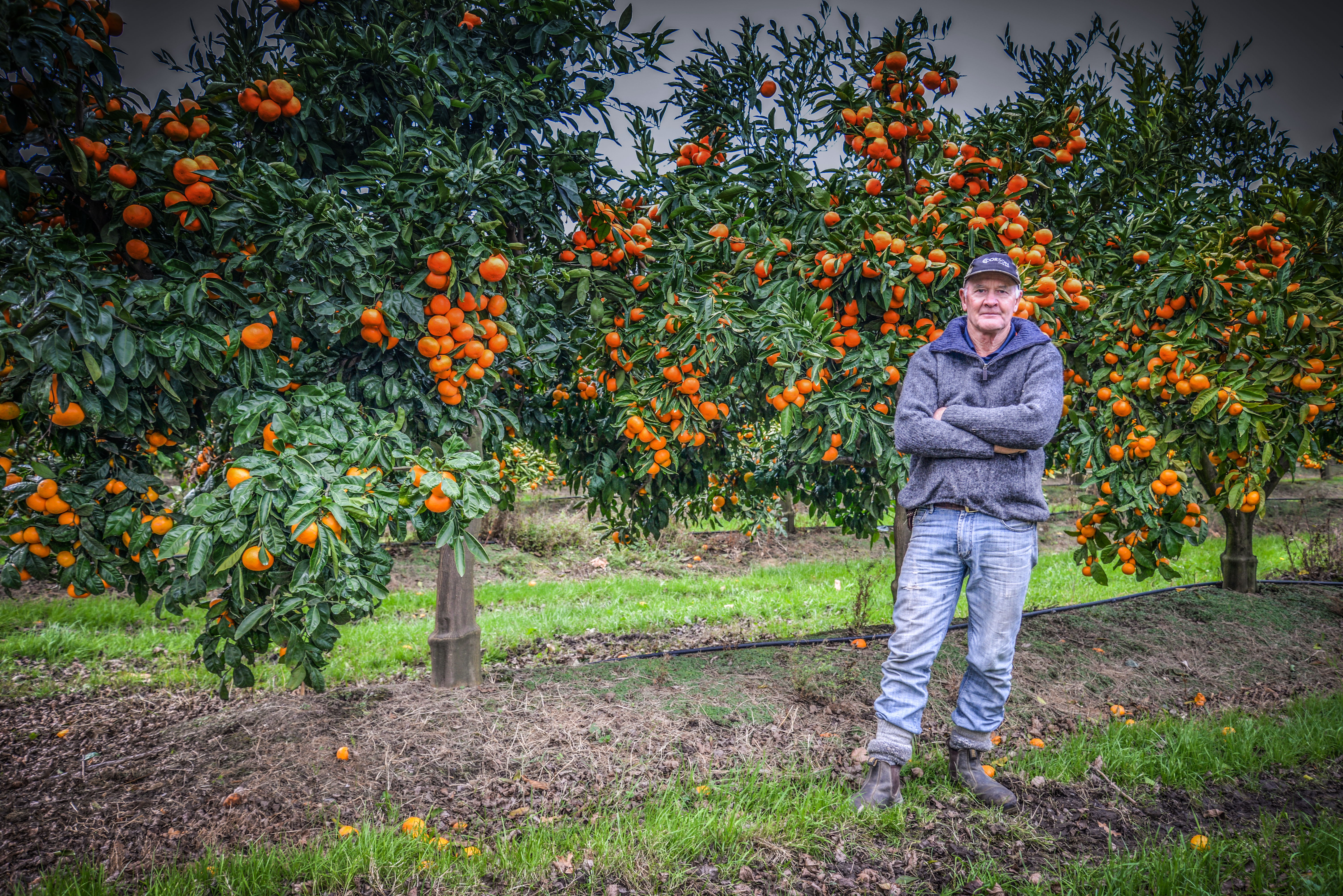 3 Major Challenges Facing Digital Agriculture in New Zealand