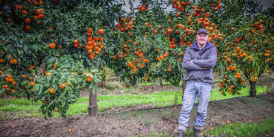 3 Major Challenges Facing Digital Agriculture in New Zealand