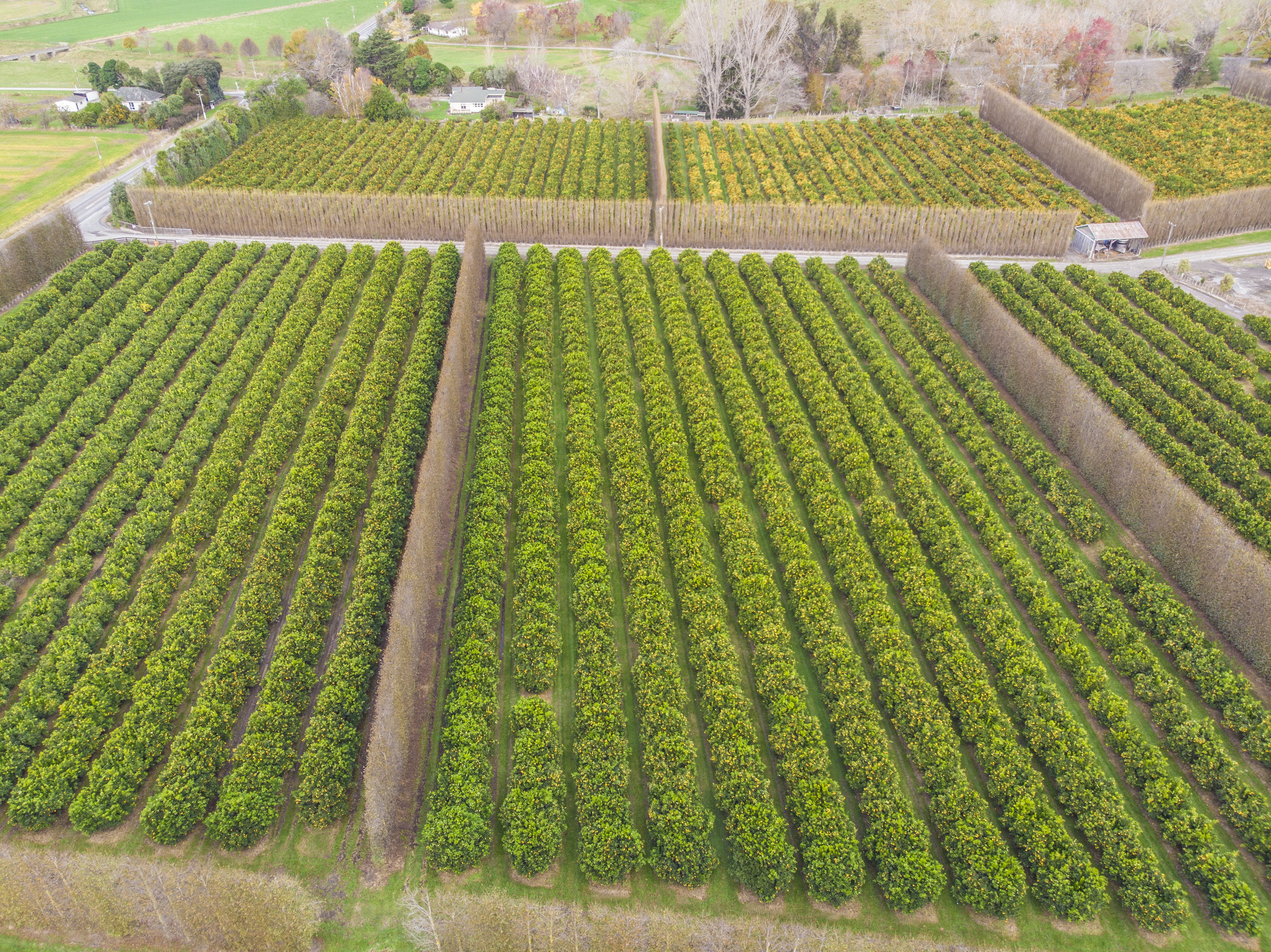 Using data to drive orchard automation
