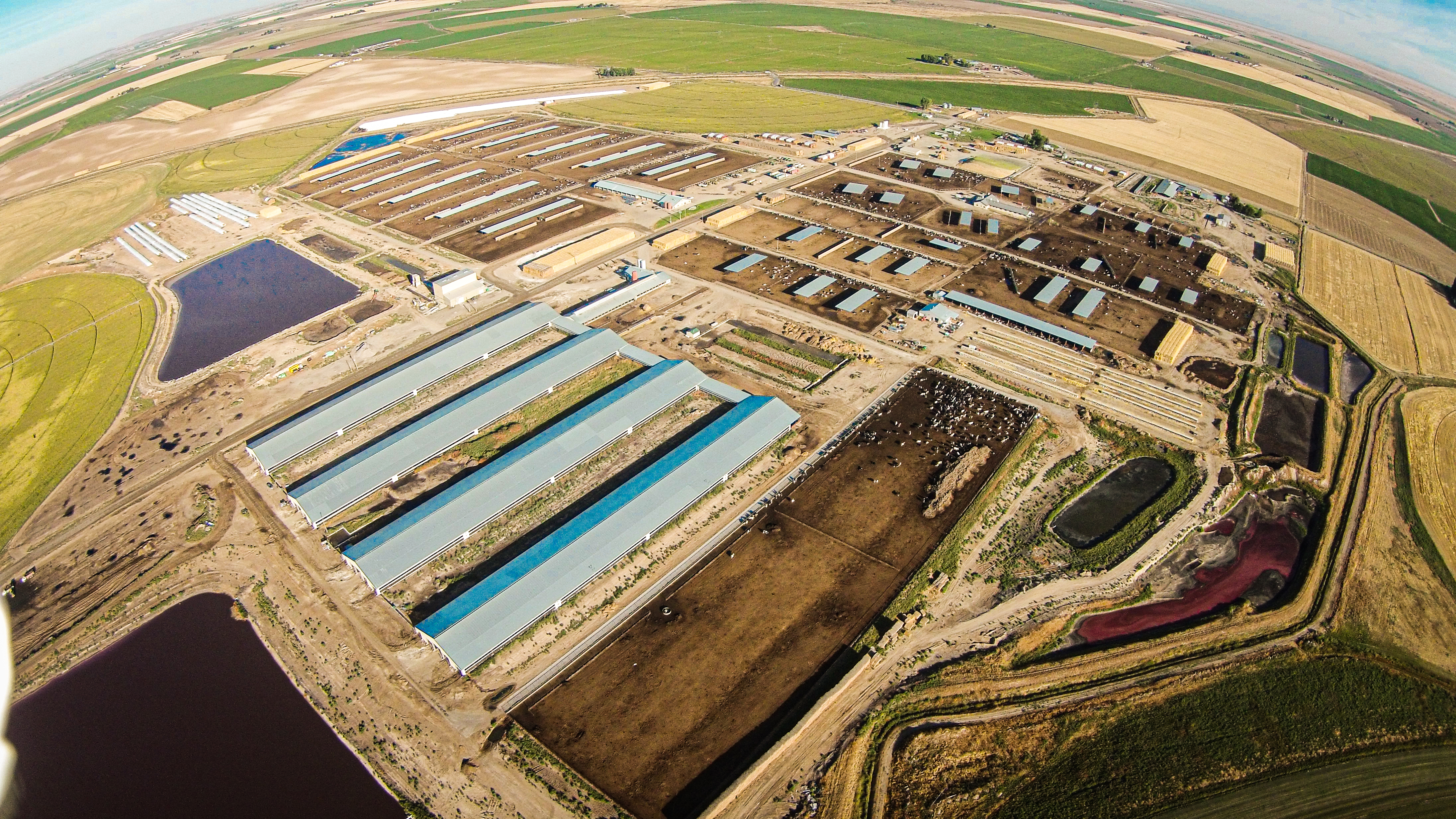 Agworld