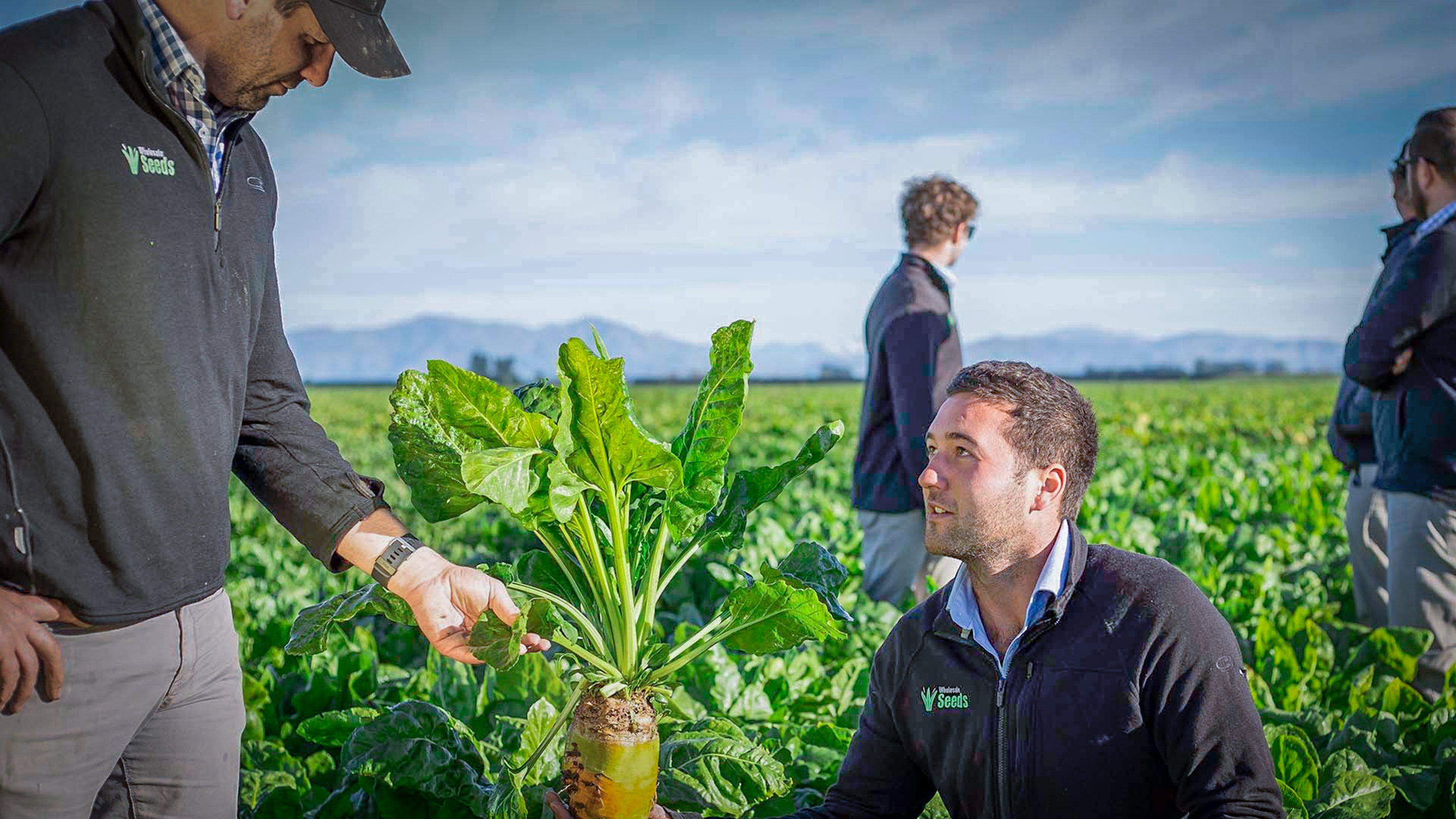 Linking growers to key production information