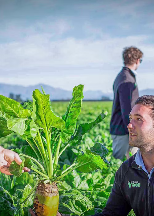 Linking growers to key production information