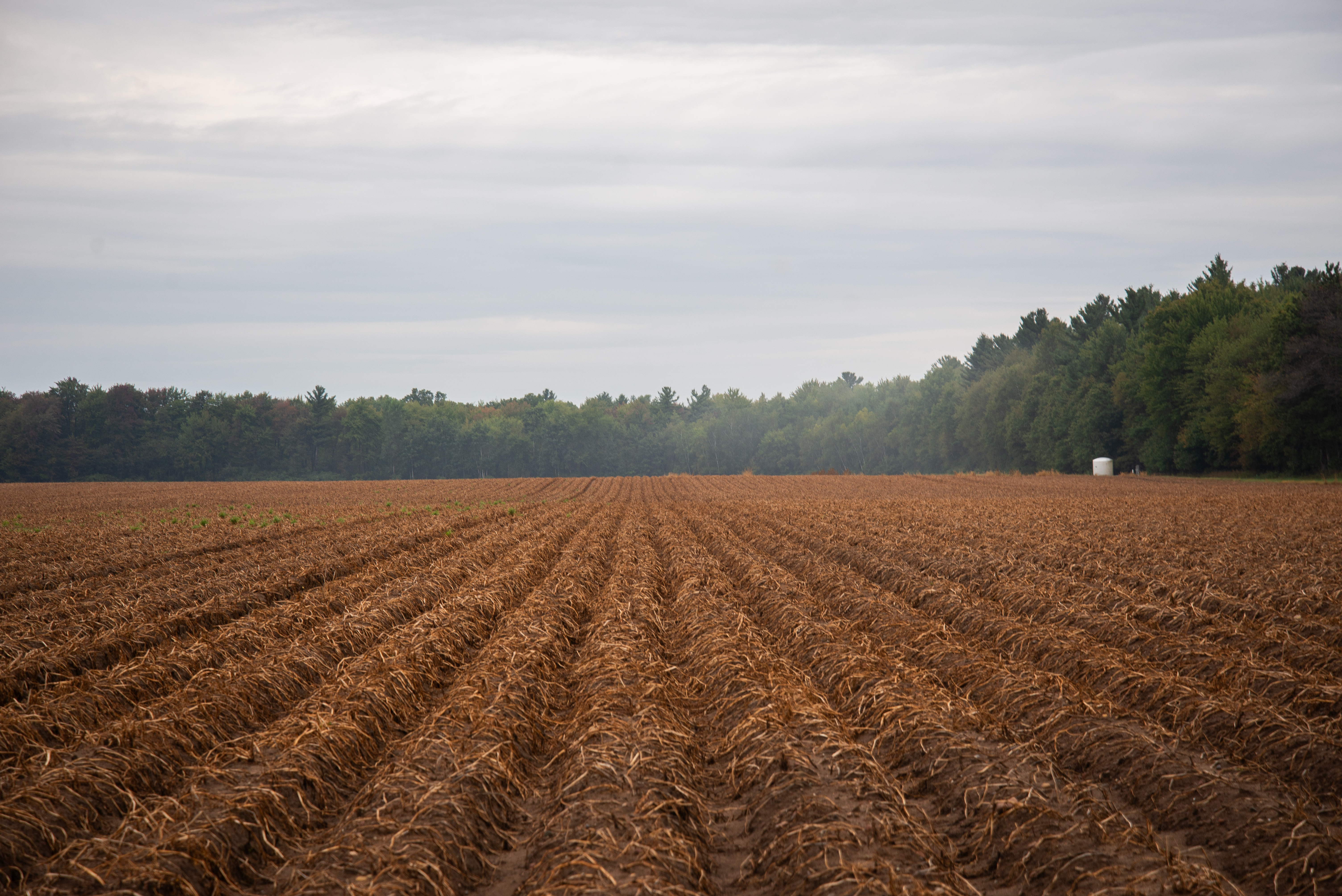 Agworld