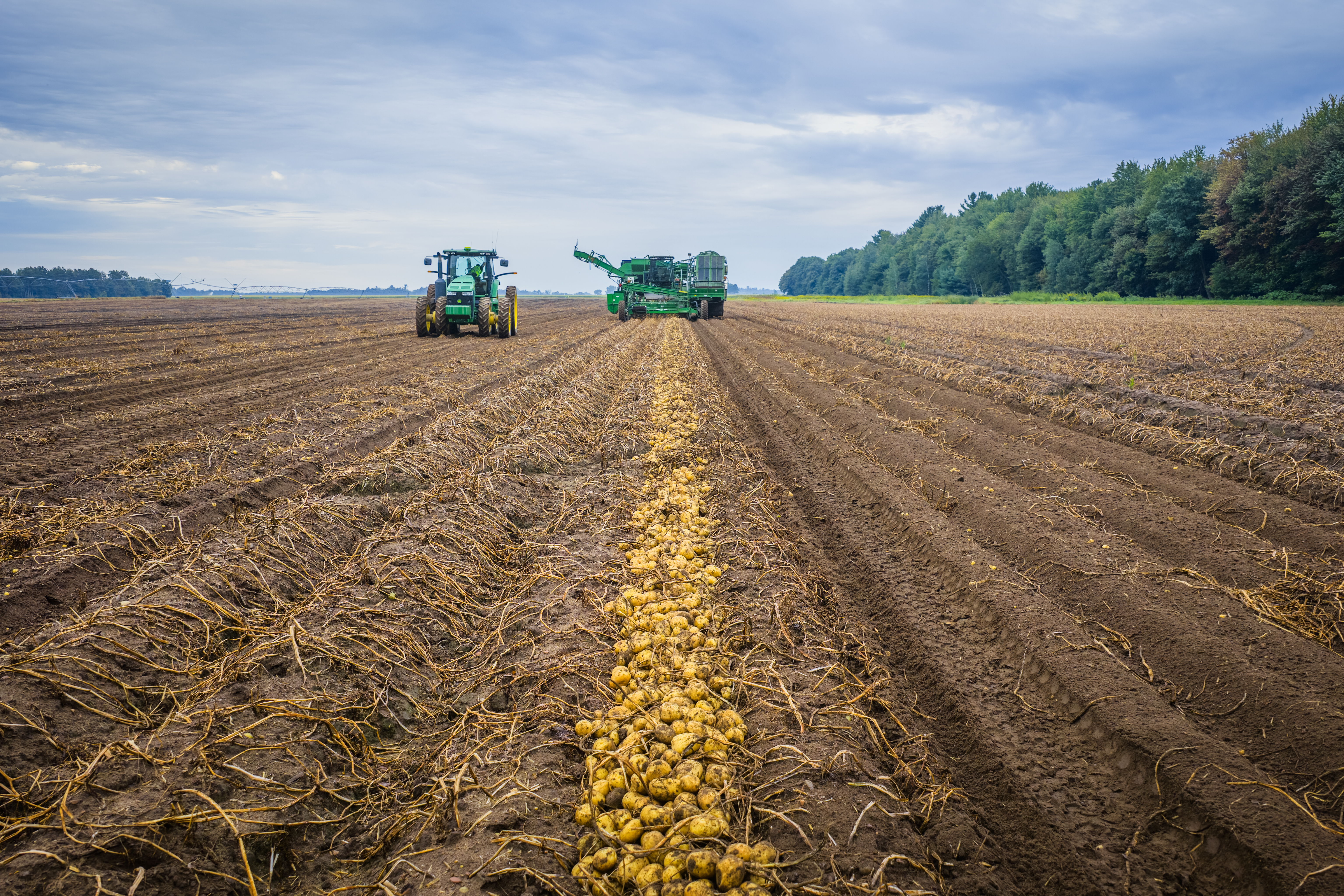 Field Intelligence and Compliance: why we need both, and how to get there