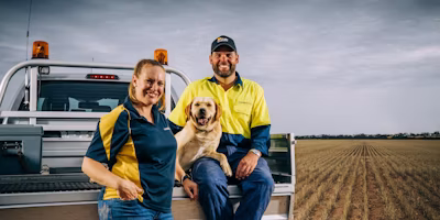 Cutting through the clutter with Shed and Cart
