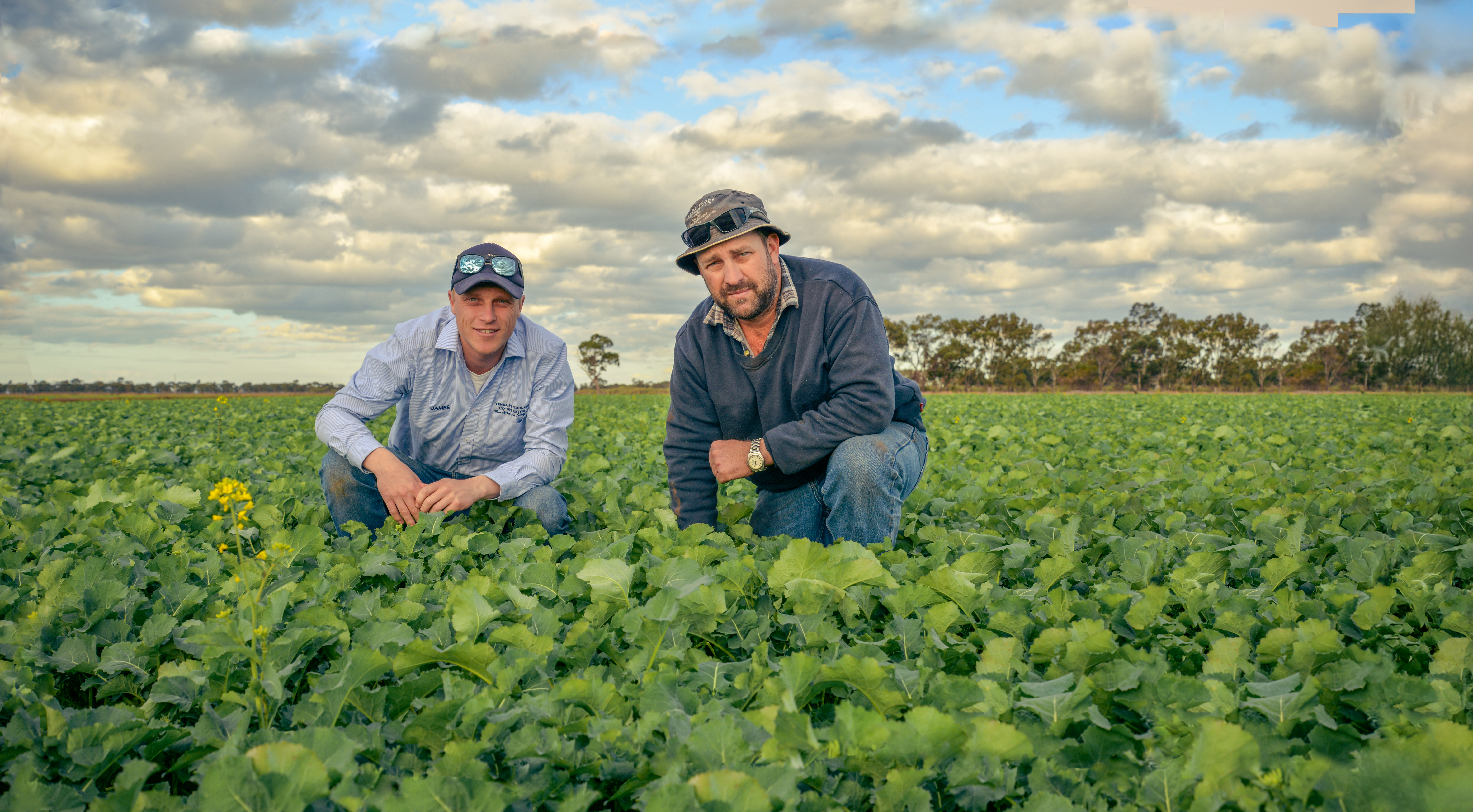 Digitising agronomy practices