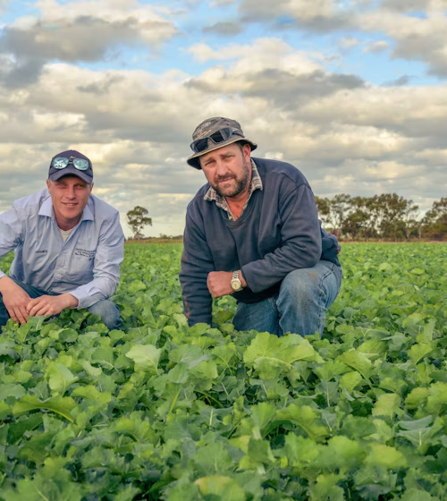 Digitising agronomy practices
