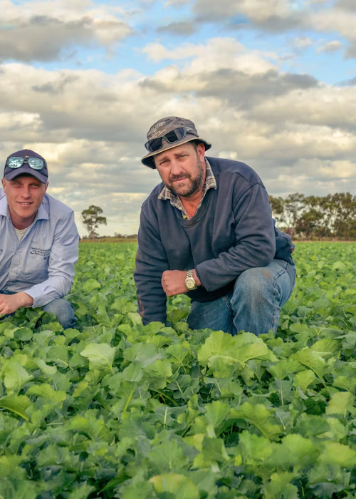 Digitising agronomy practices