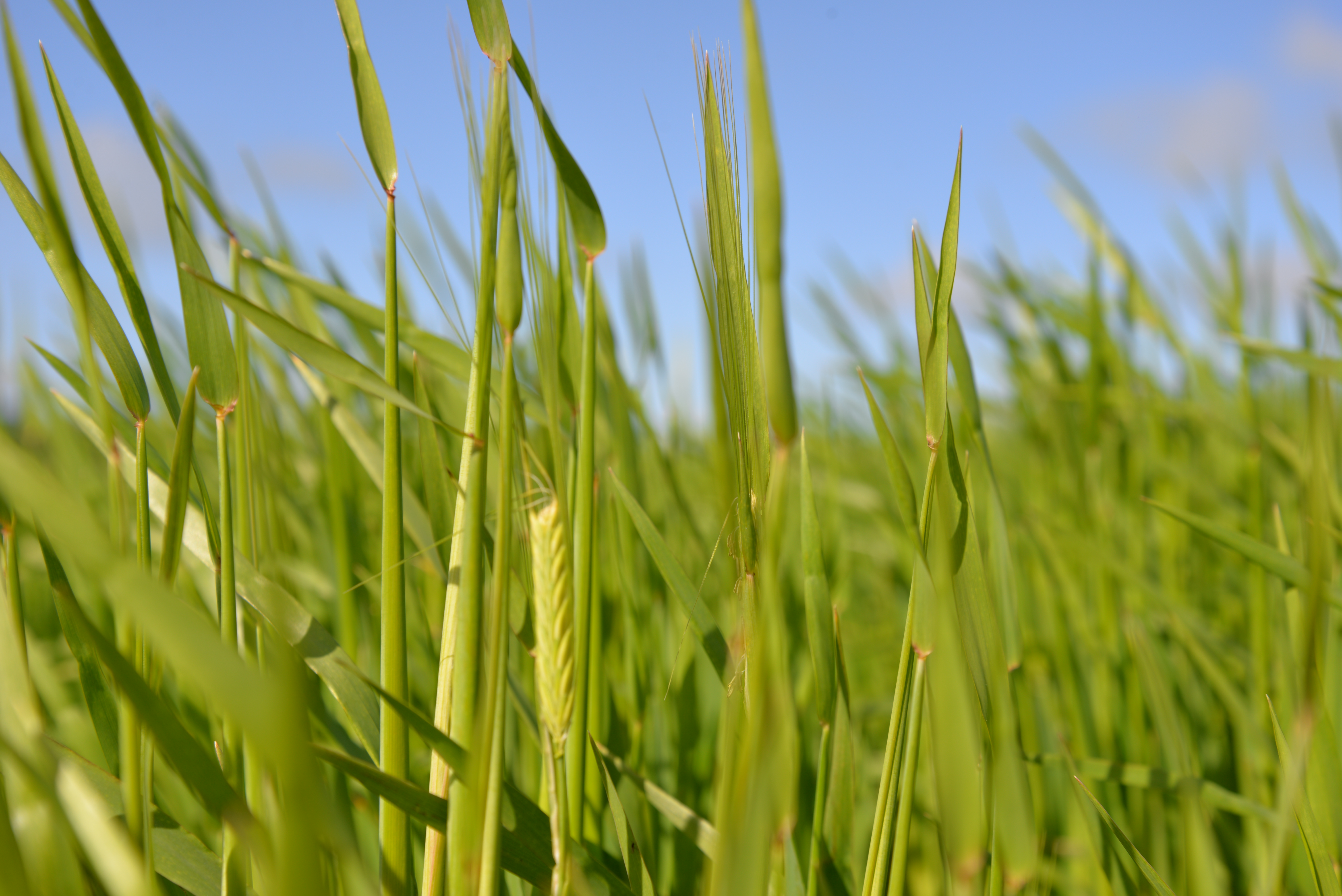 Agworld