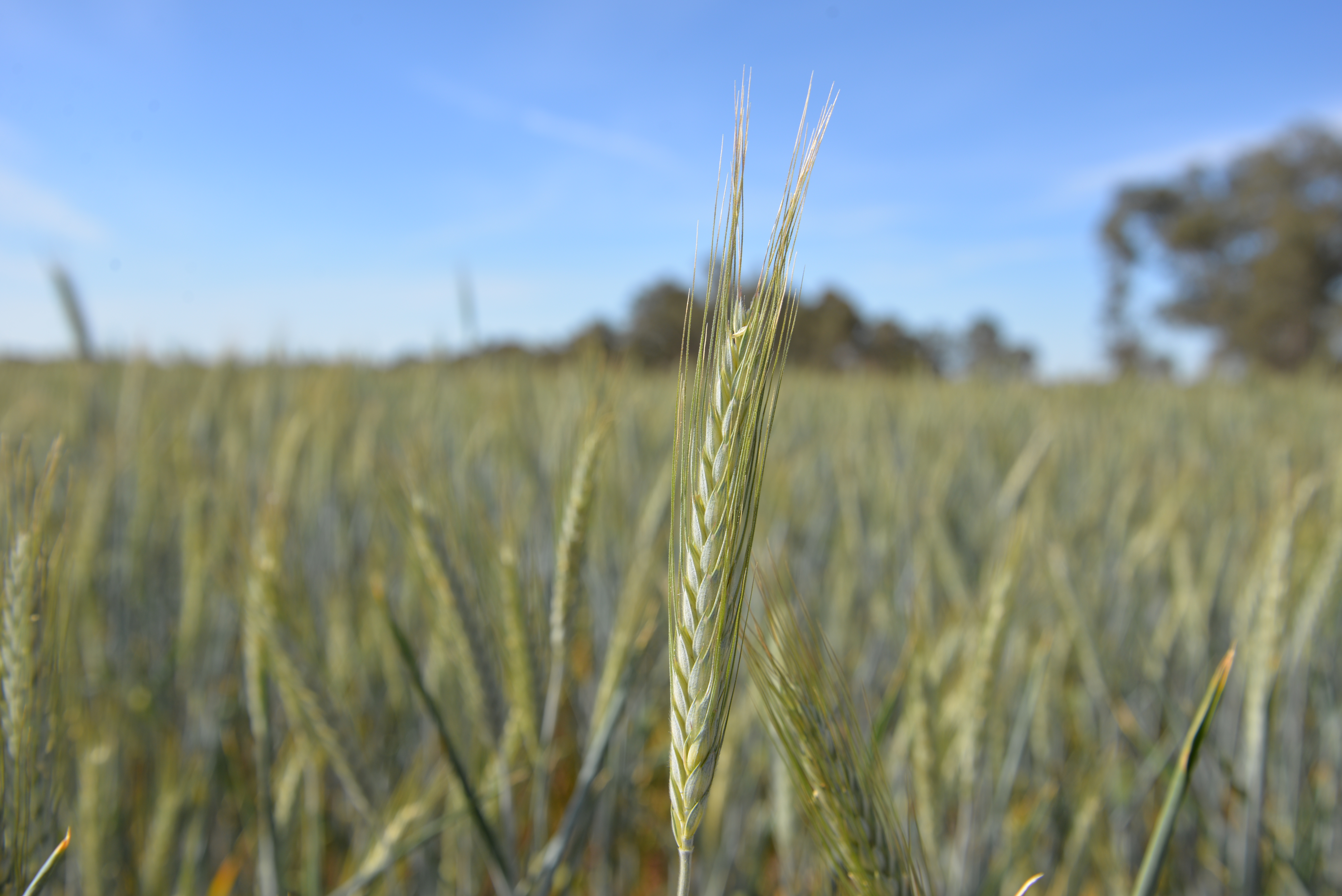 Using standardized data to inform the industry