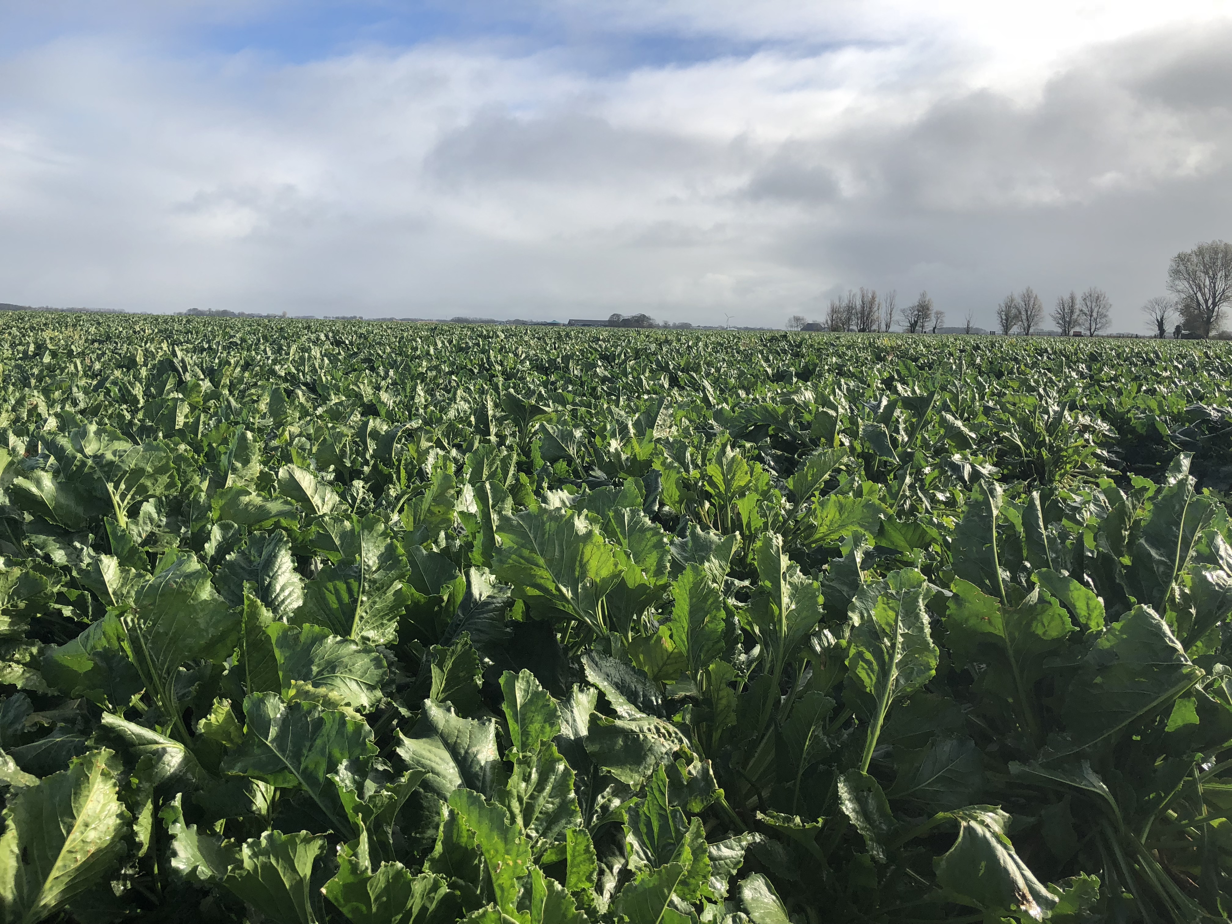 Agworld