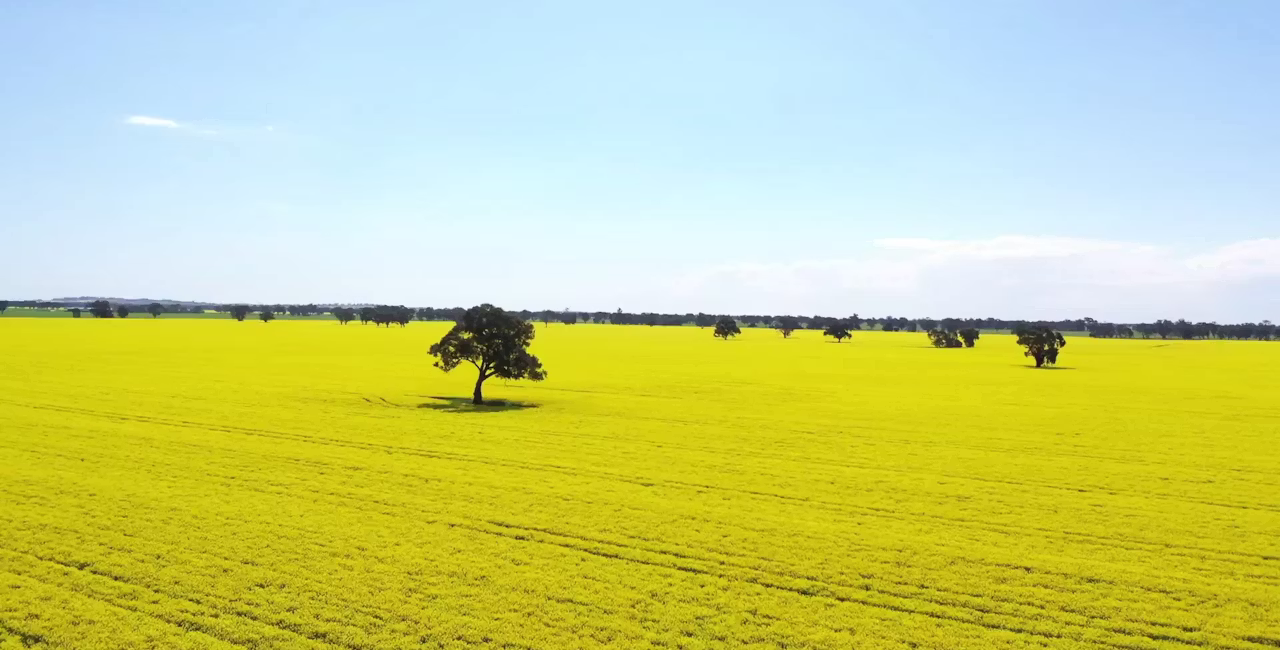 Agworld