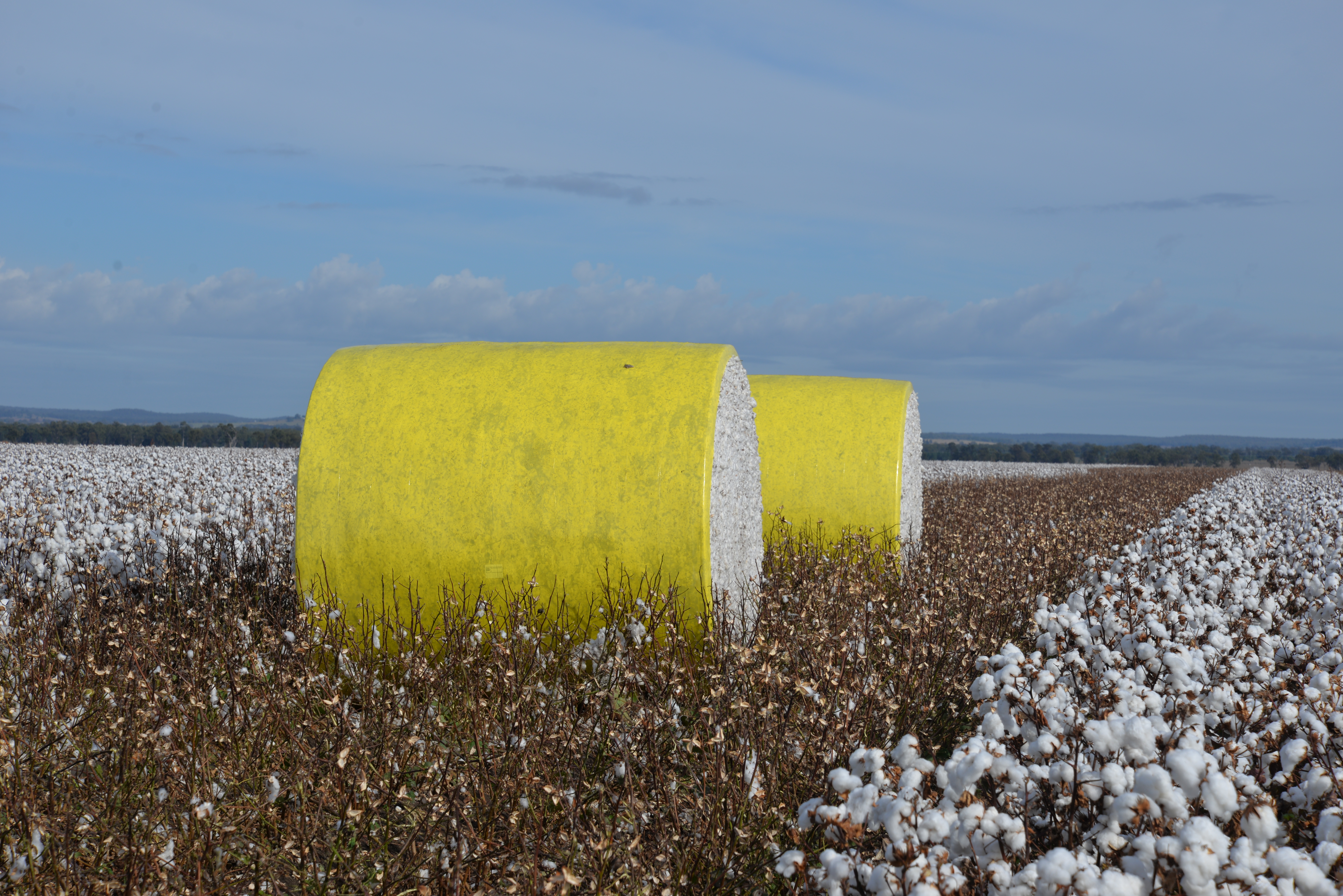 Who is getting rewarded for your Ag Data?