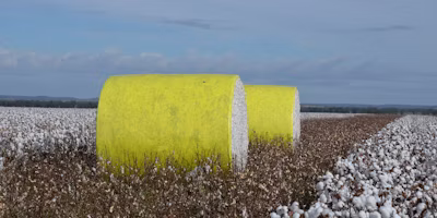 Who is getting rewarded for your Ag Data?