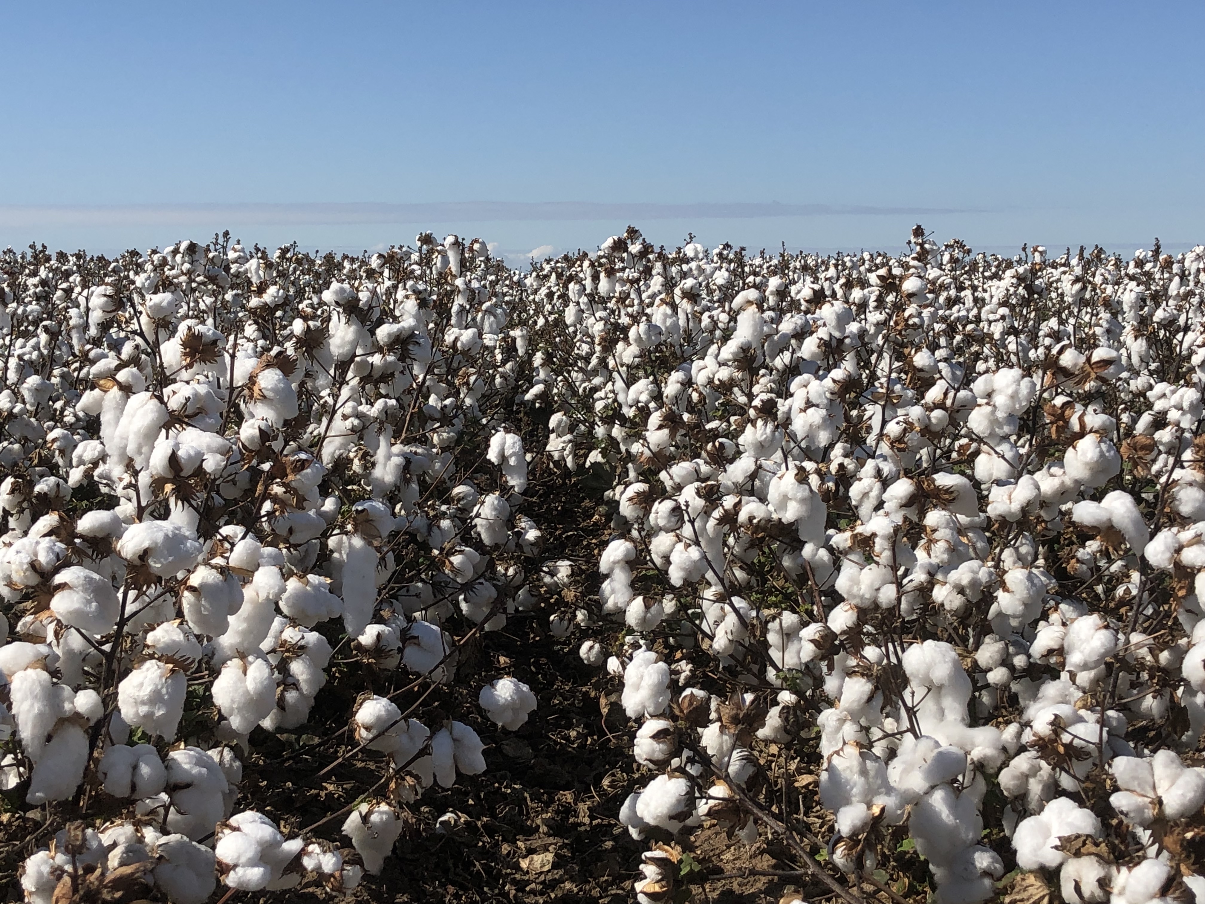Using data to mitigate climate risks