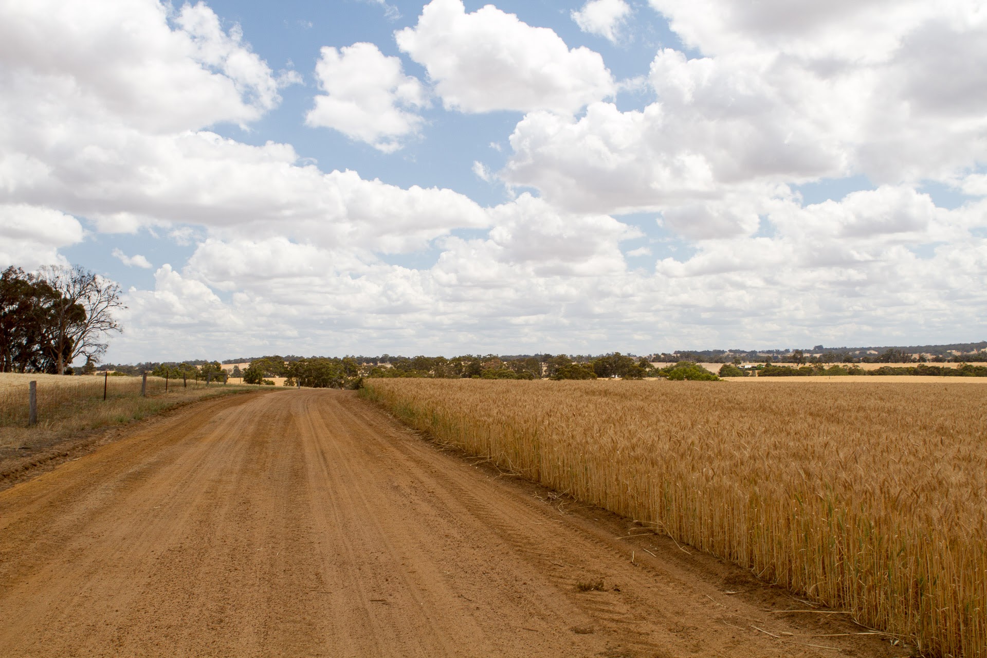 Using your data for farm risk management