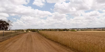 Using your data for farm risk management
