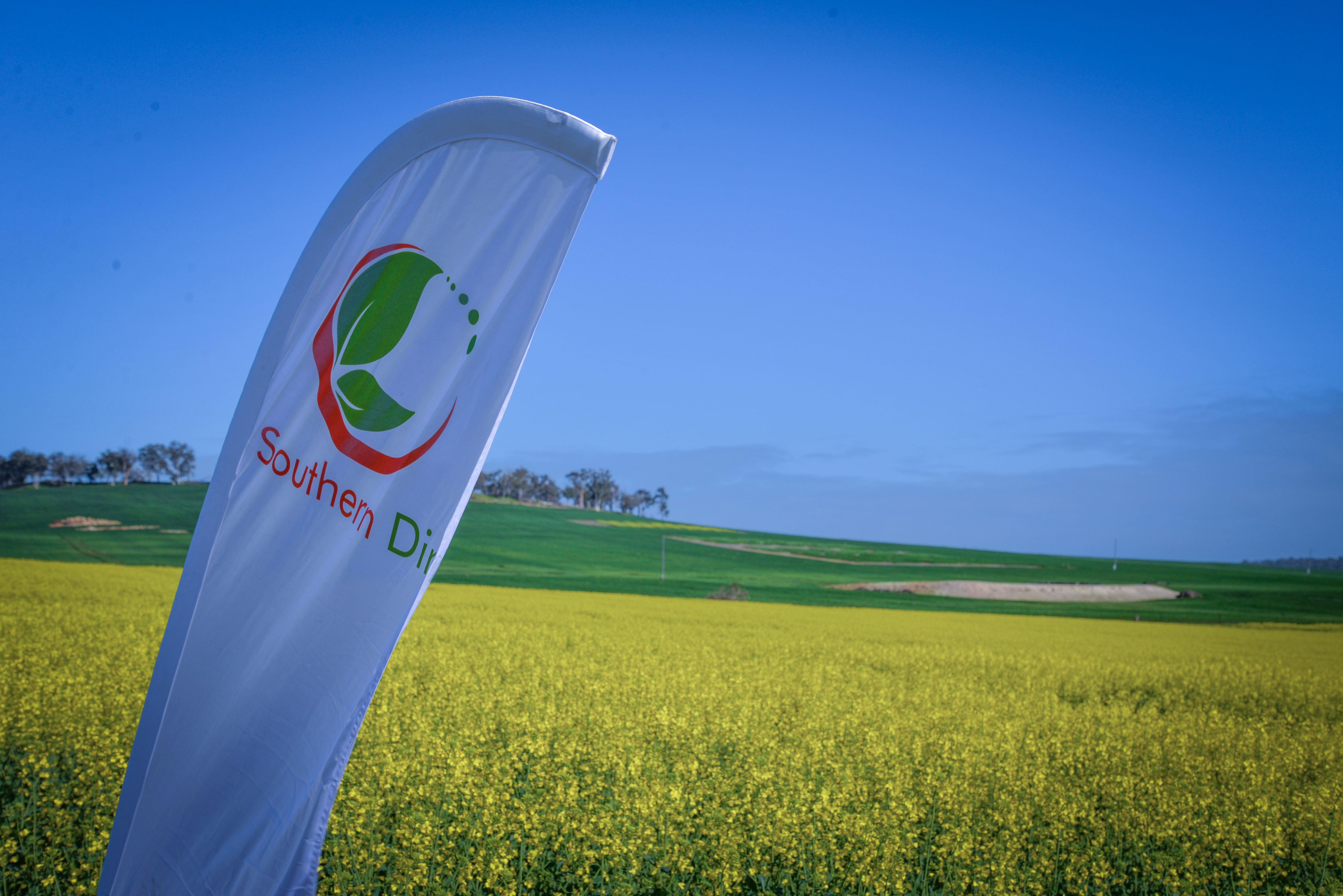 Southern Dirt Spring field day highlights importance of Data