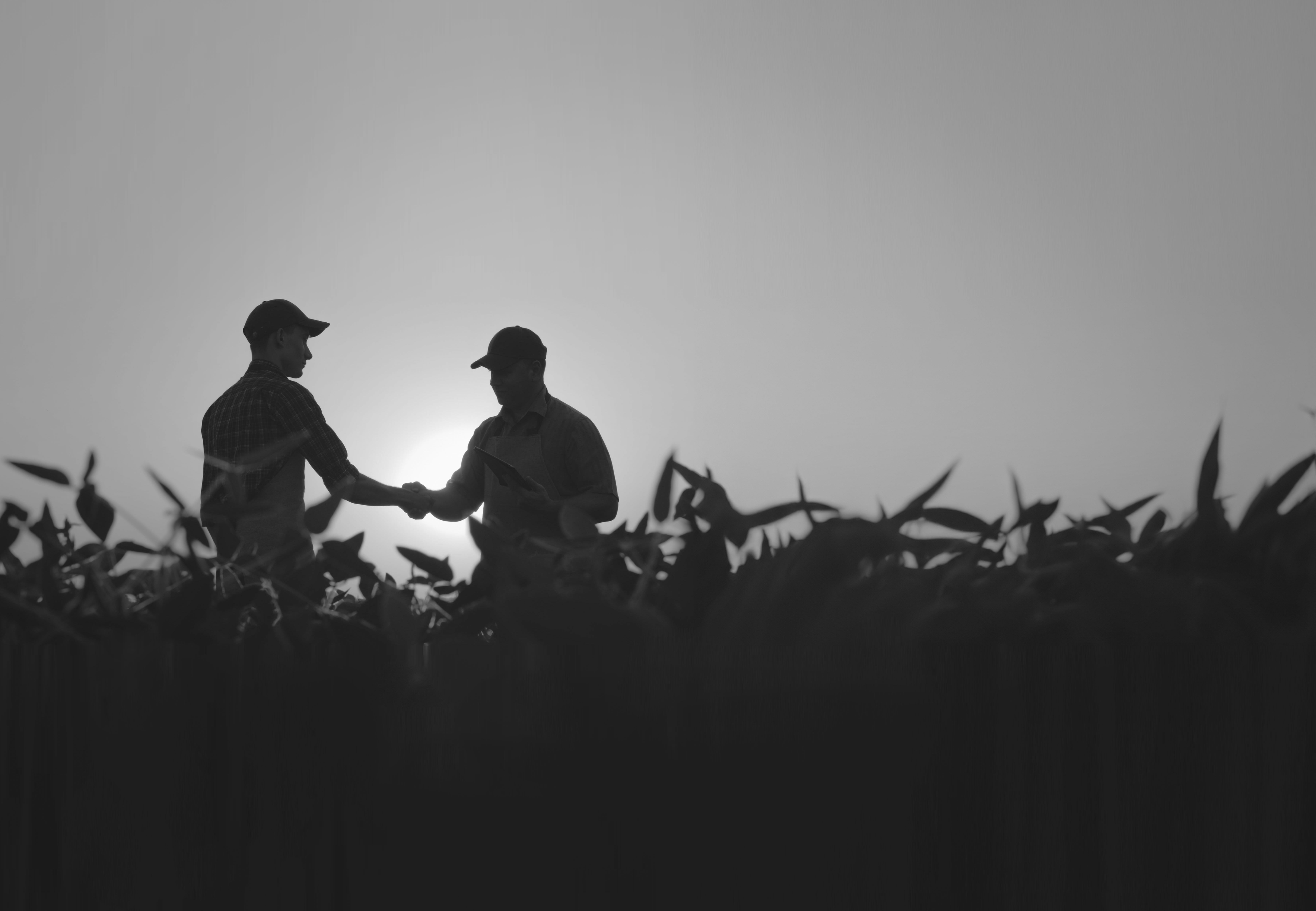 Agworld Launches Integrated Custom Blend Tool for Ag Retailers and Growers